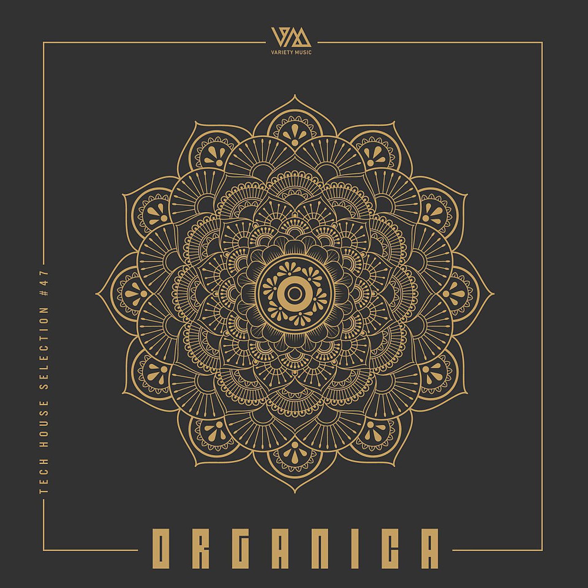 Постер альбома Organica #47