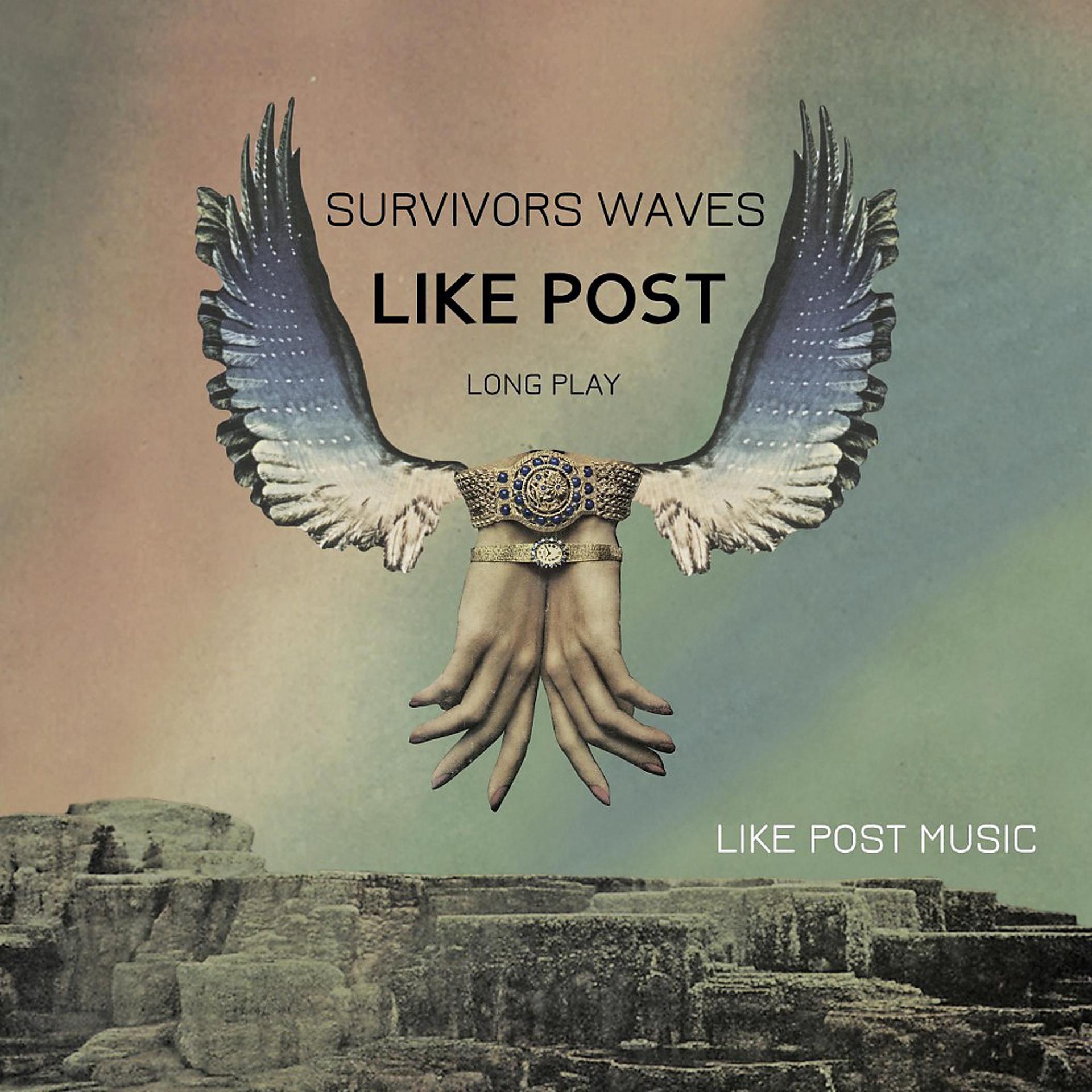 Постер альбома Survivors Waves