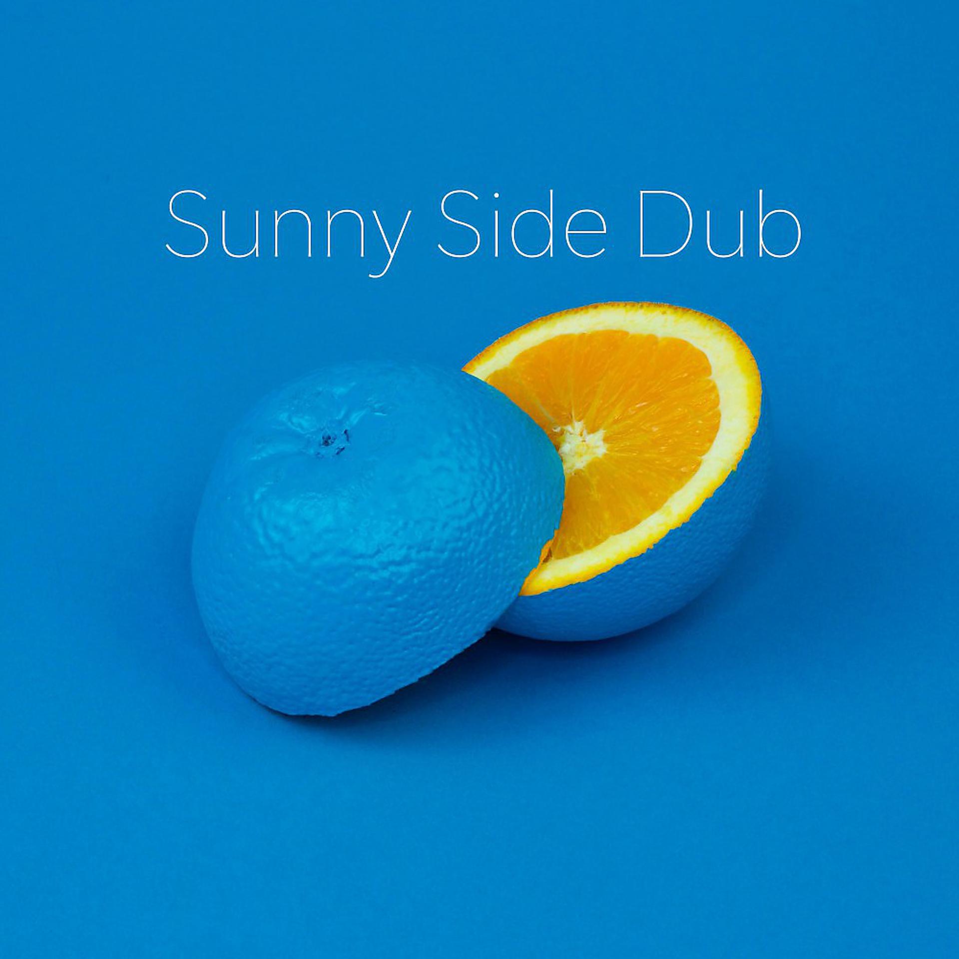 Постер альбома Sunny Side Dub