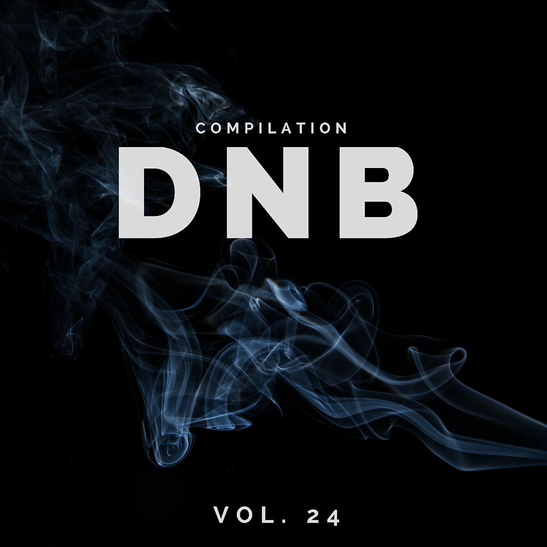 Постер альбома Dnb Music Compilation, Vol. 24
