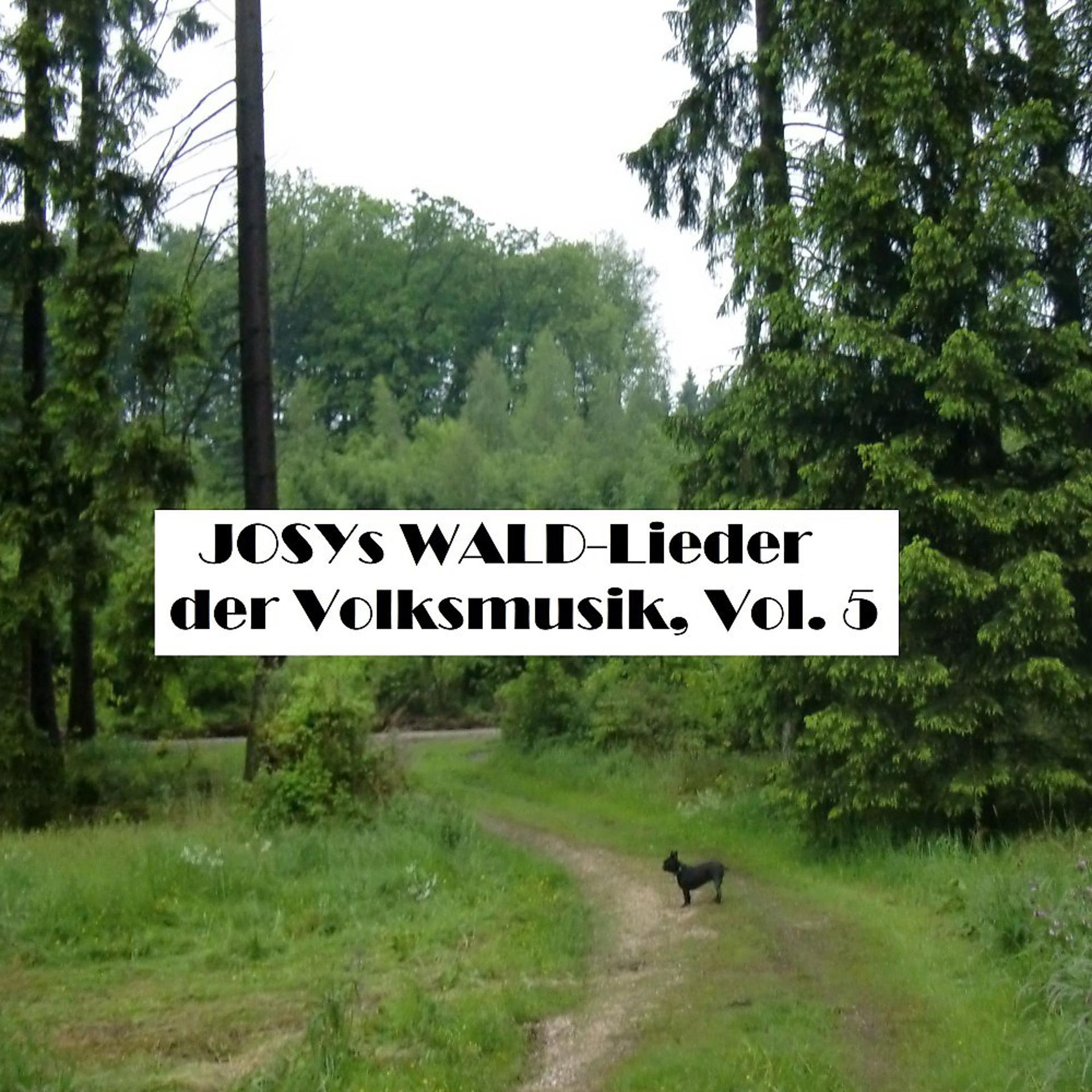 Постер альбома Josys WALD-Lieder der Volksmusik, Vol. 5