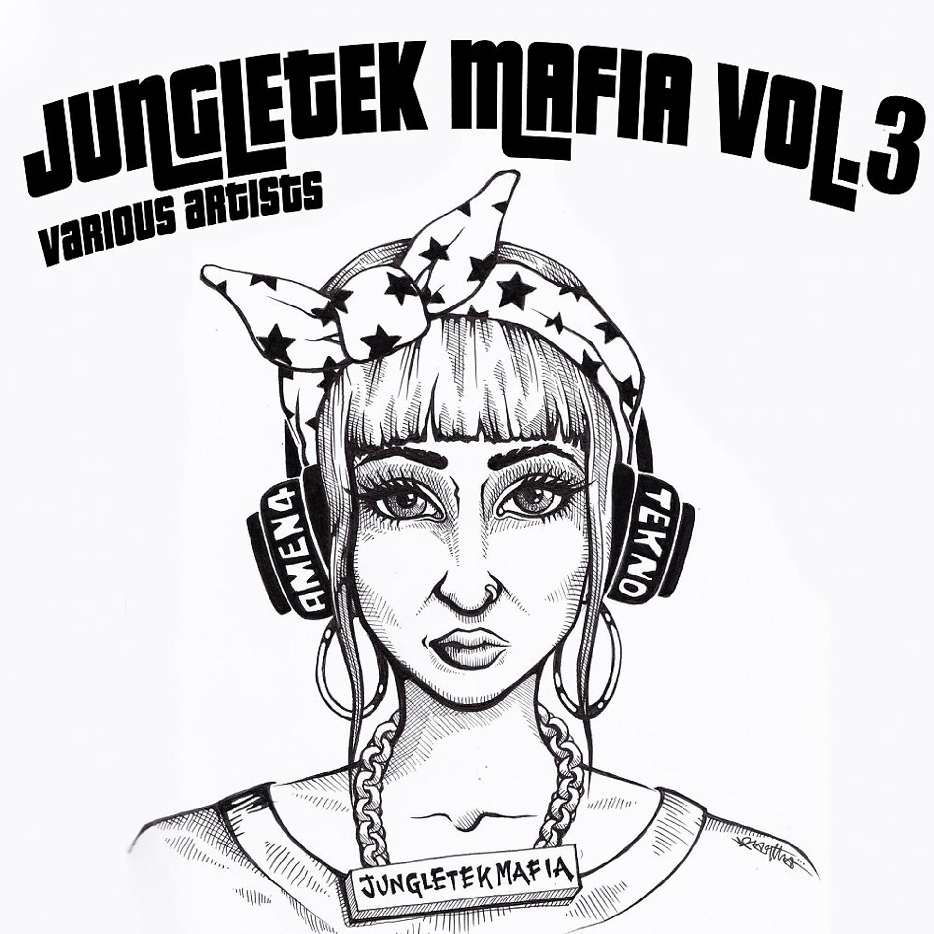Постер альбома Jungletek Mafia, Vol. 3