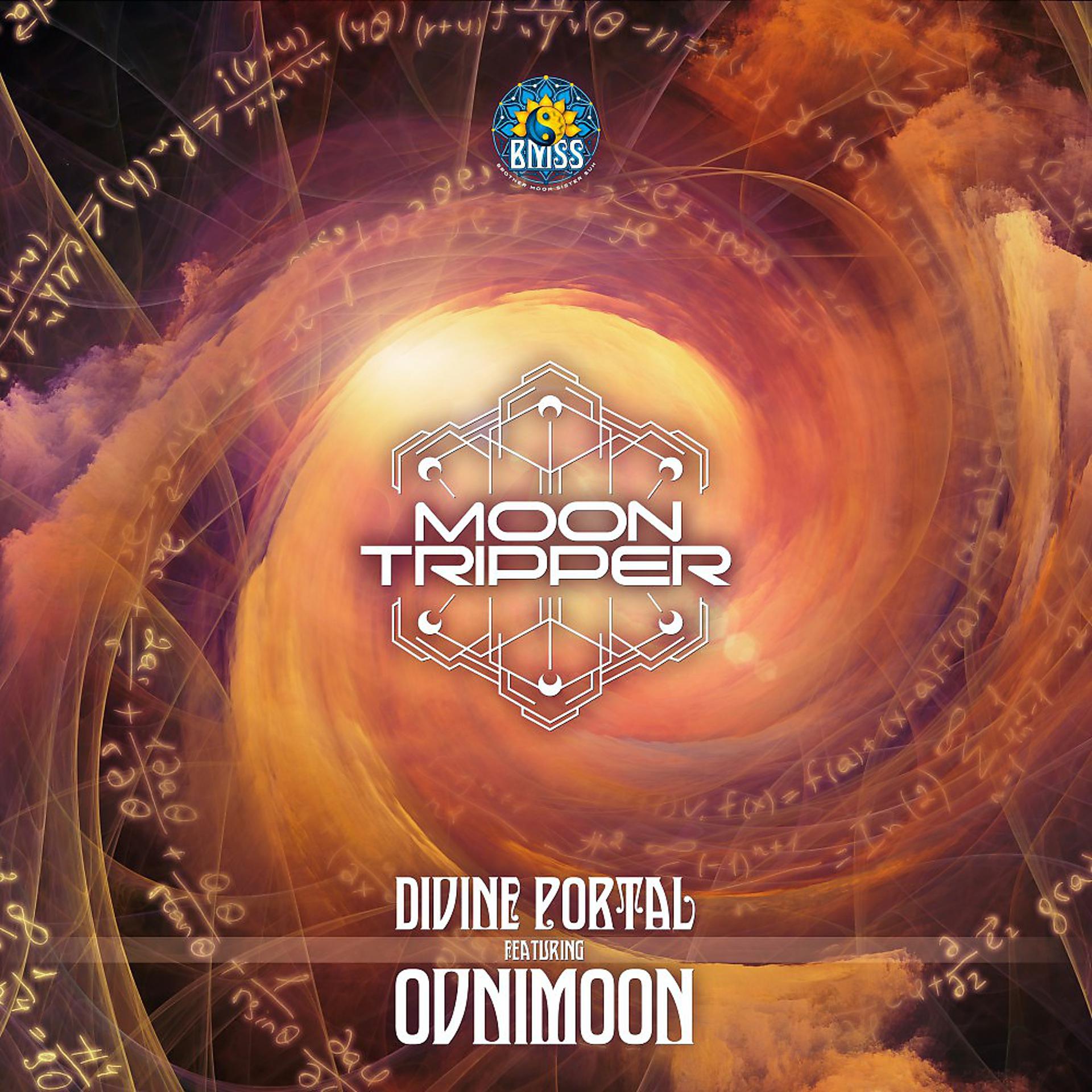 Постер альбома Divine Portal