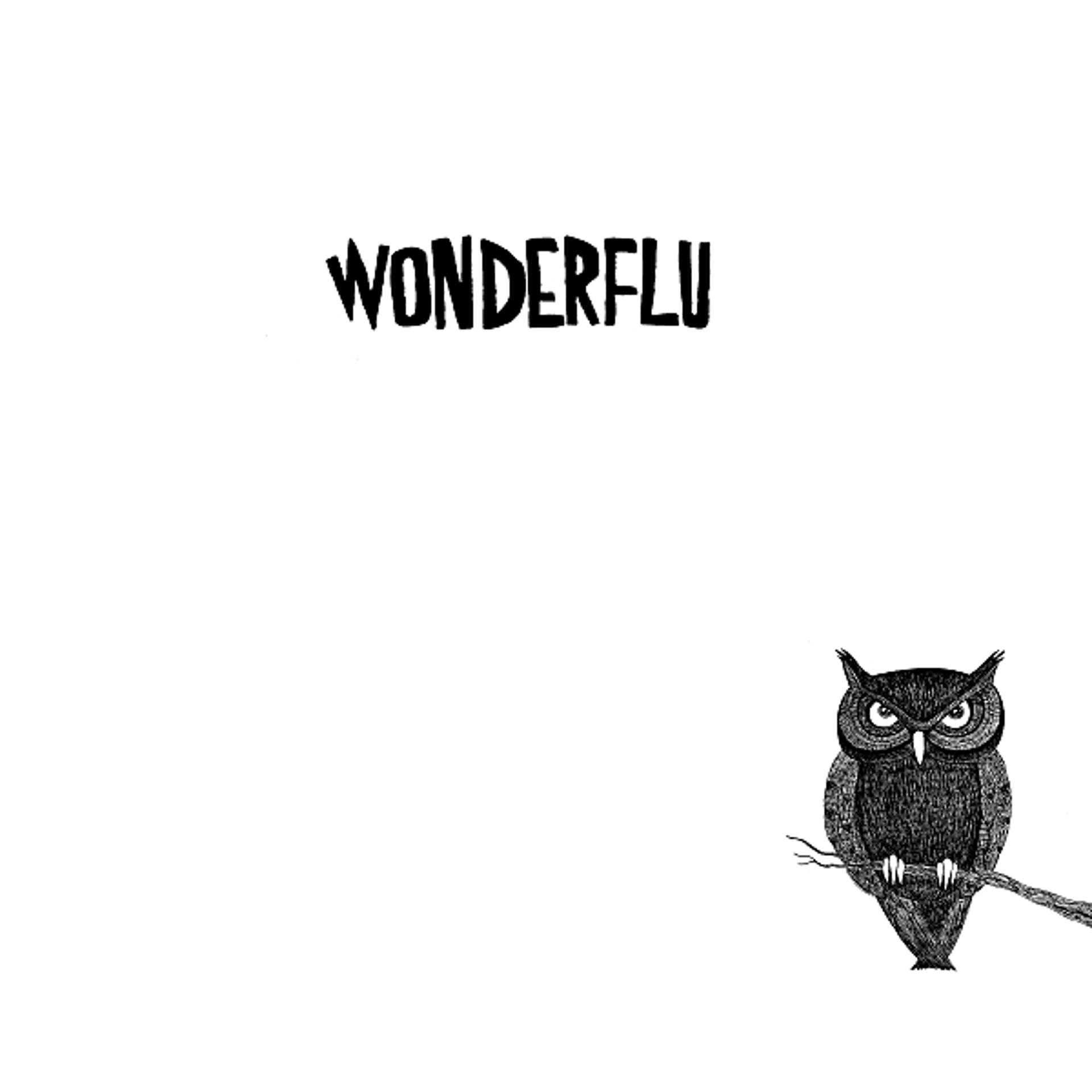 Постер альбома Wonderflu