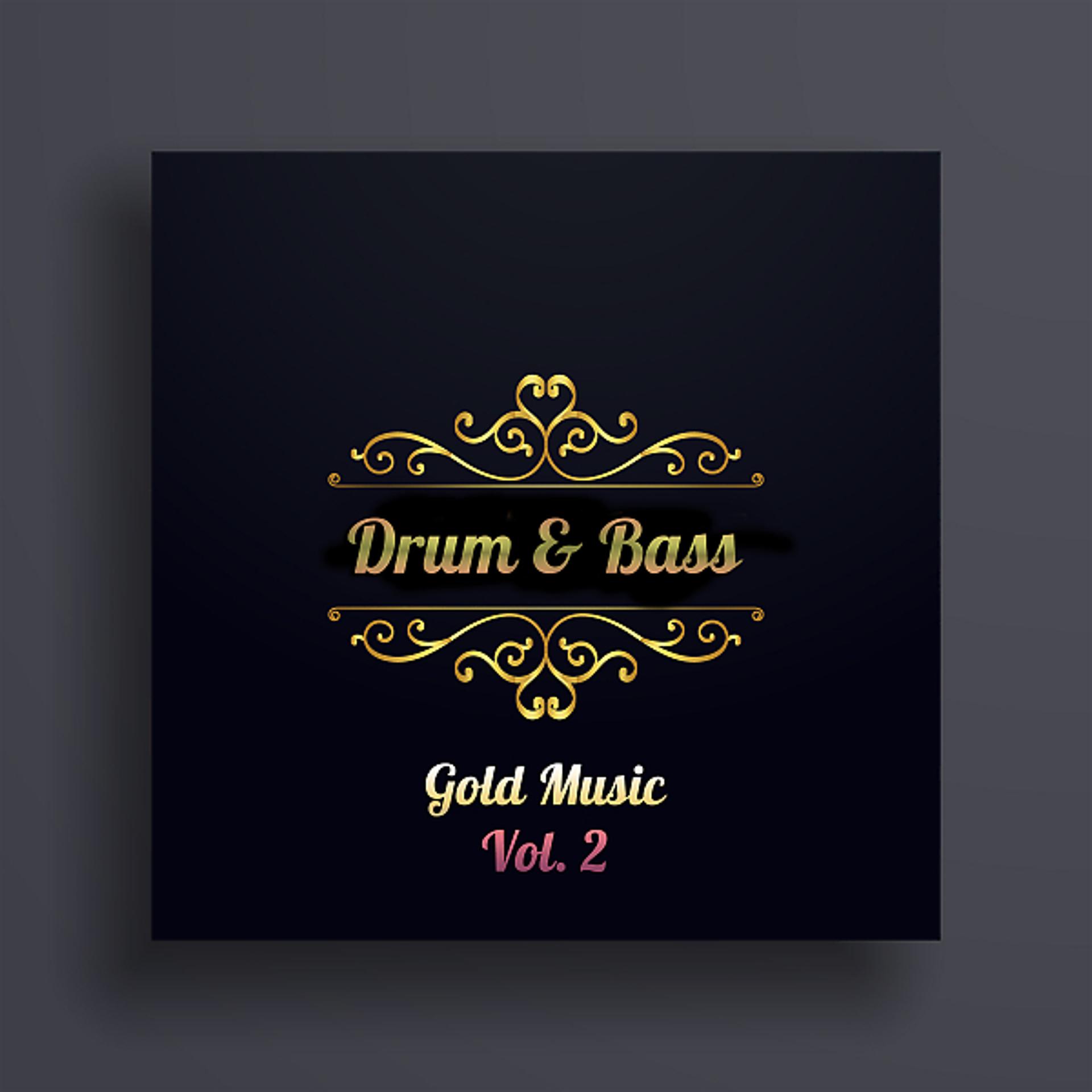 Постер альбома Drum & Bass Gold, Vol. 2