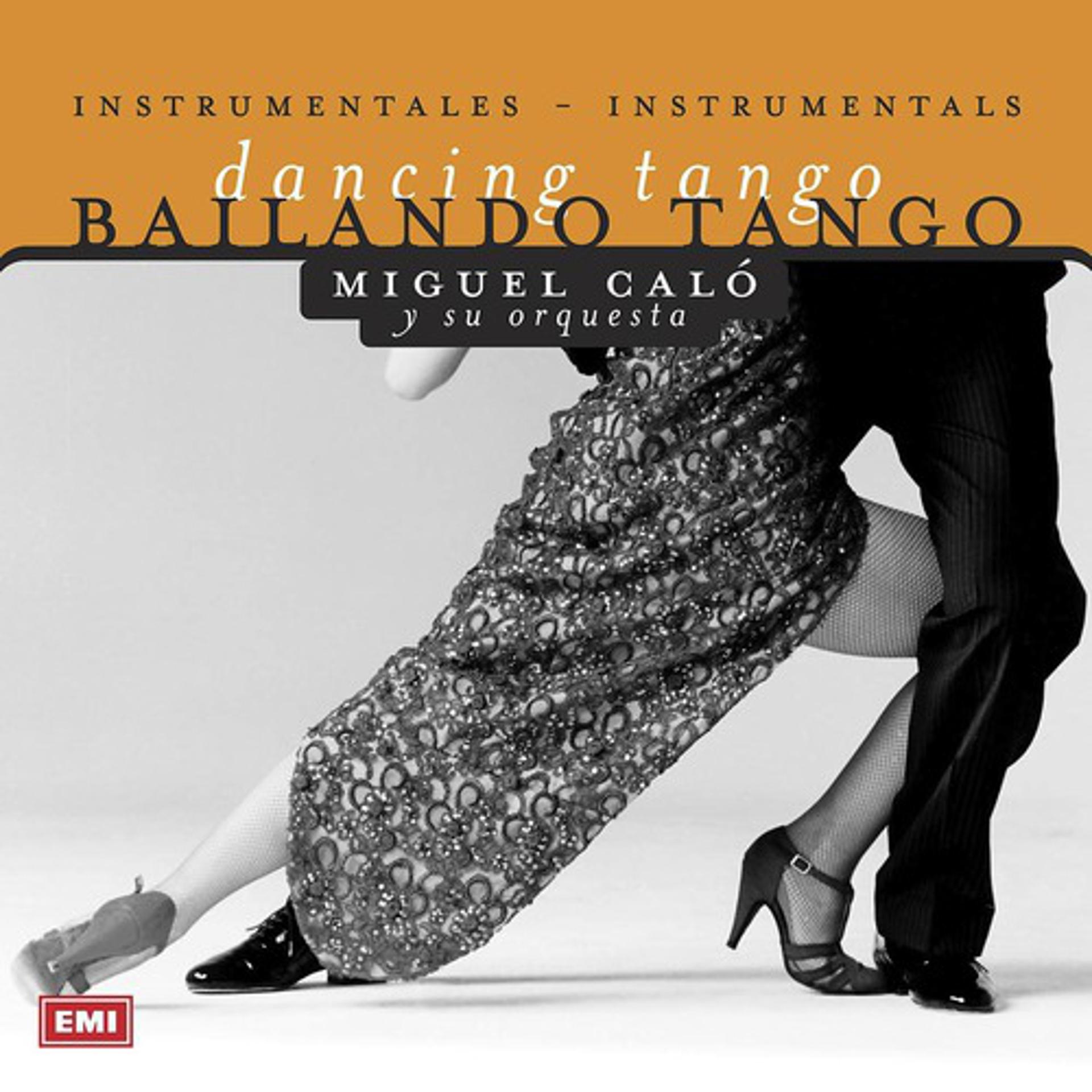 Постер альбома Bailando Tango