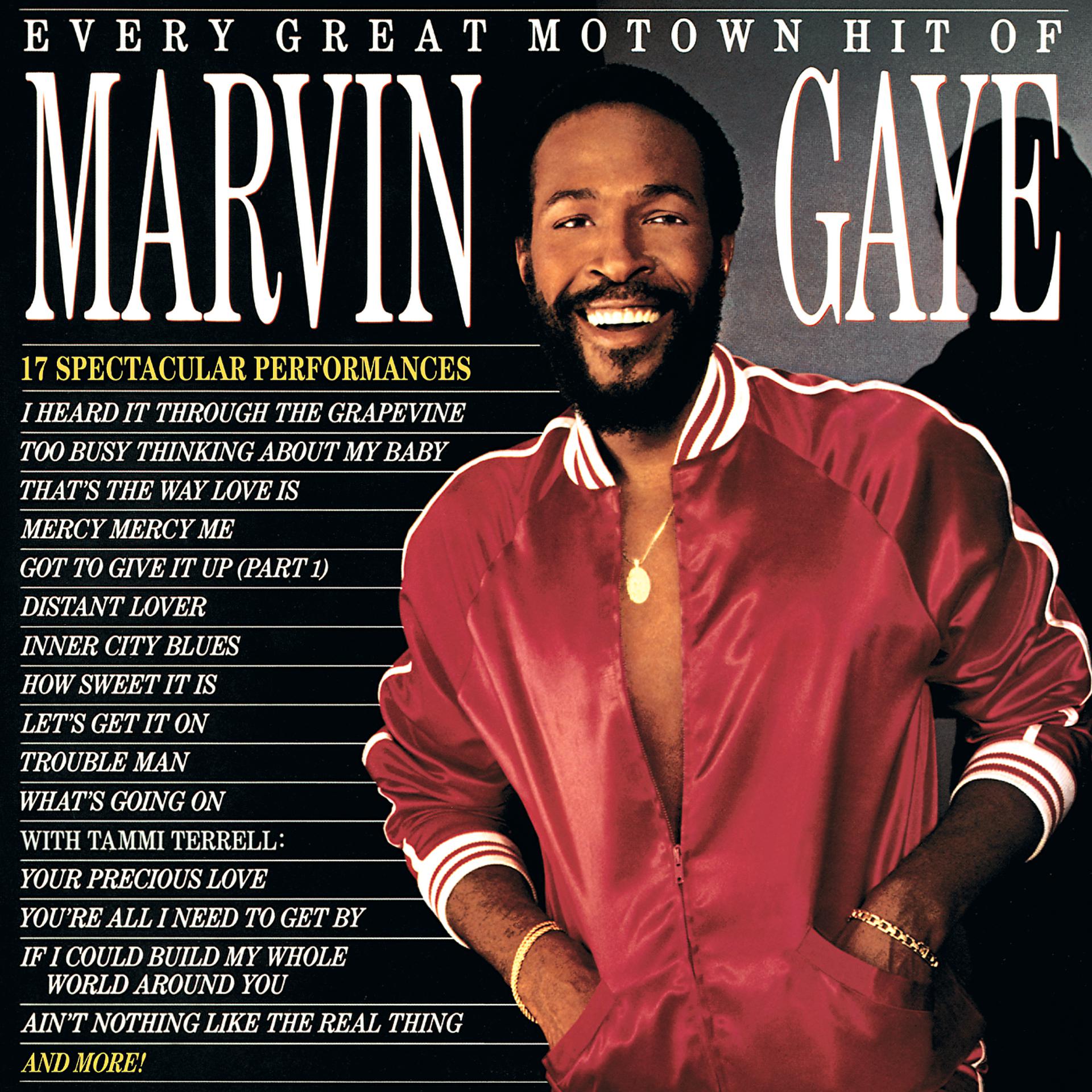 Постер альбома Every Great Motown Hit Of Marvin Gaye