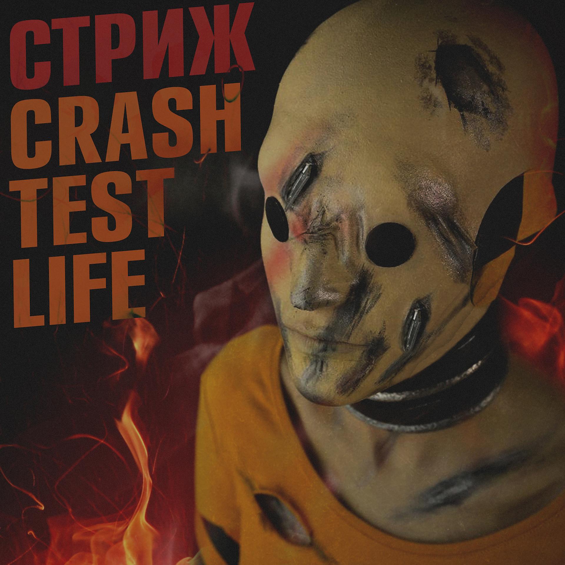 Постер альбома Crash Test Life