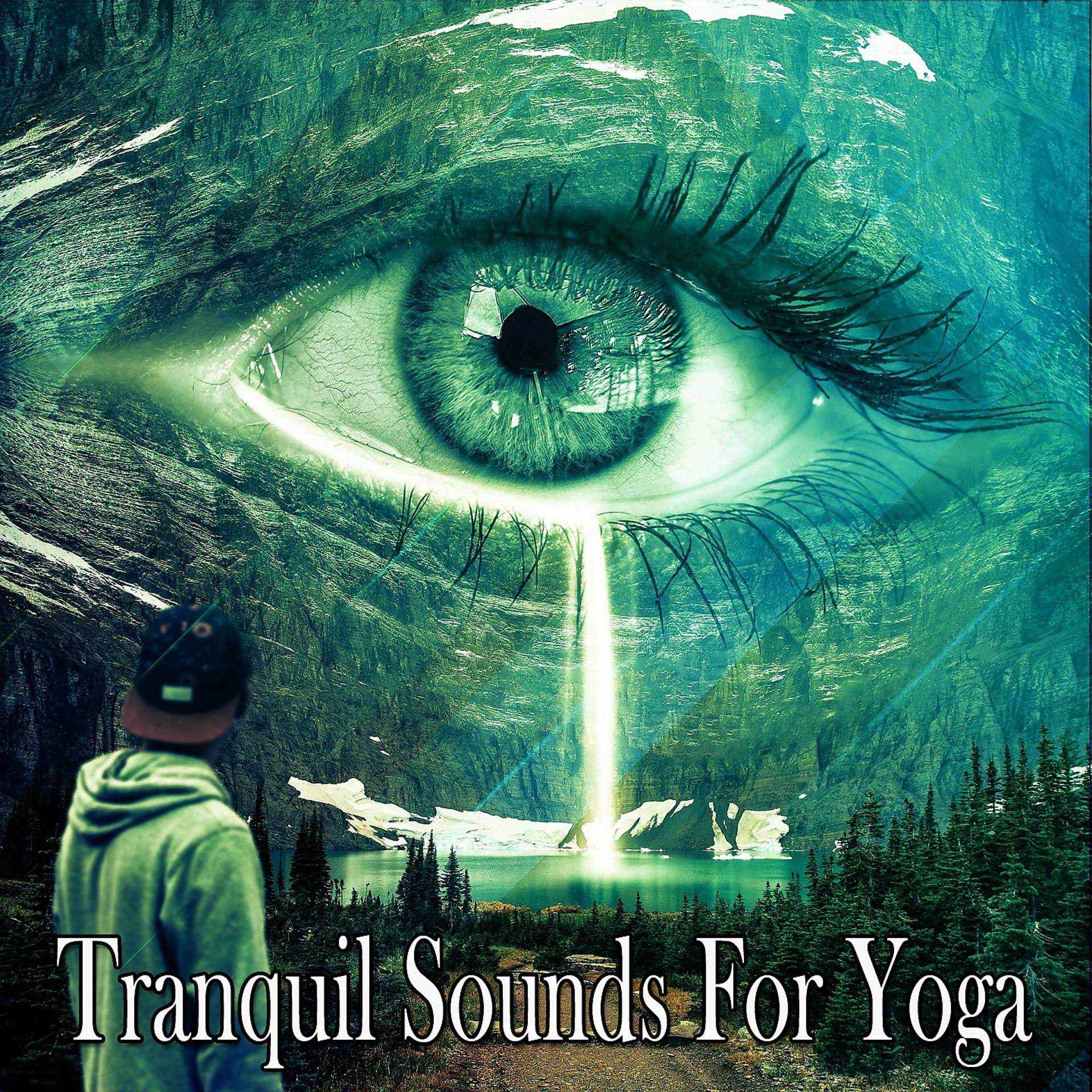 Постер альбома Tranquil Sounds For Yoga