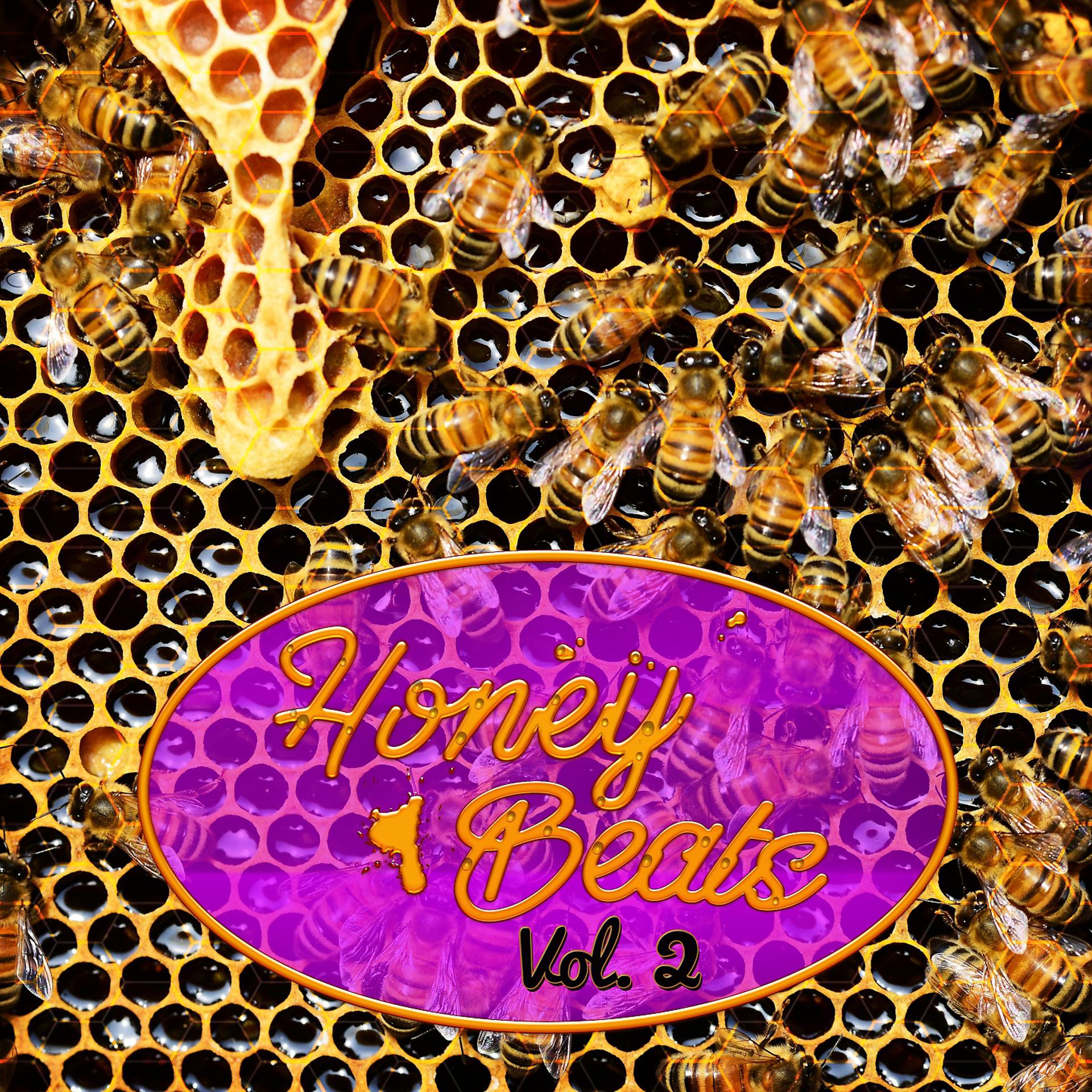 Постер альбома Honey Beats, Vol. 2