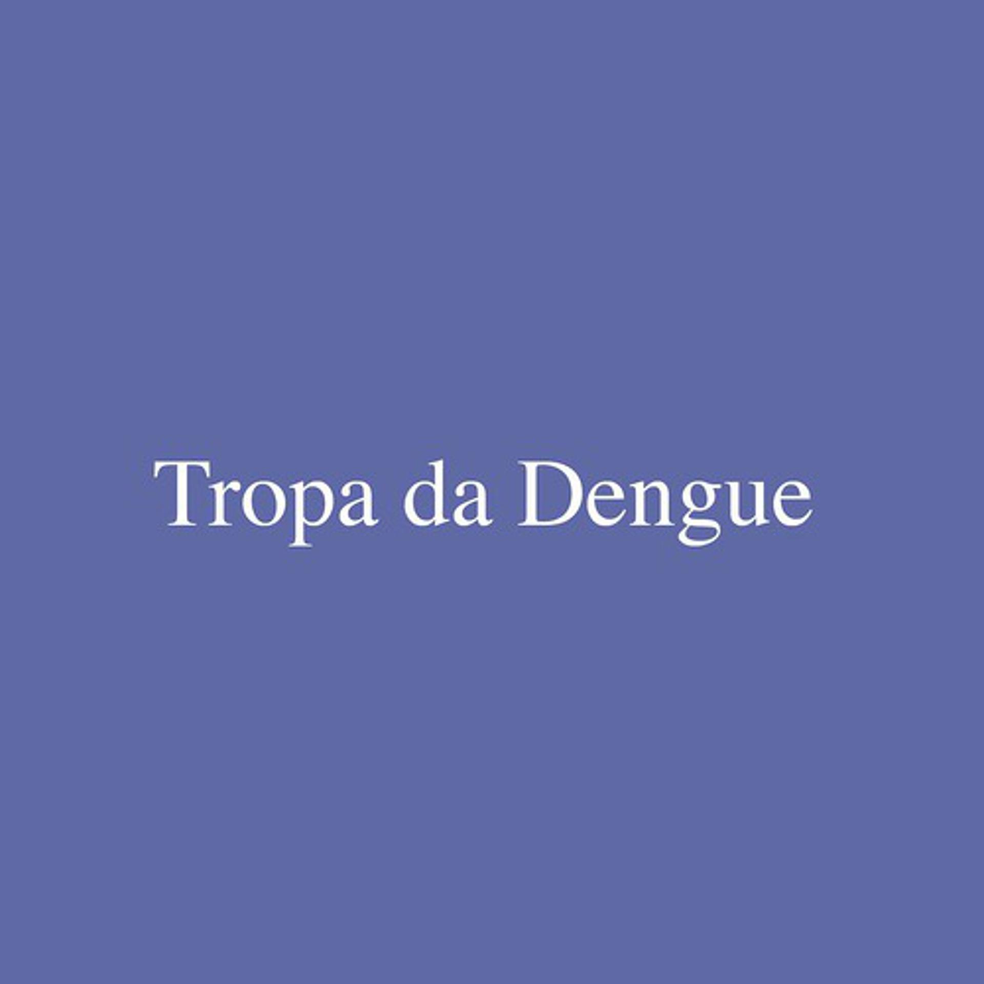 Постер альбома Tropa Da Dengue
