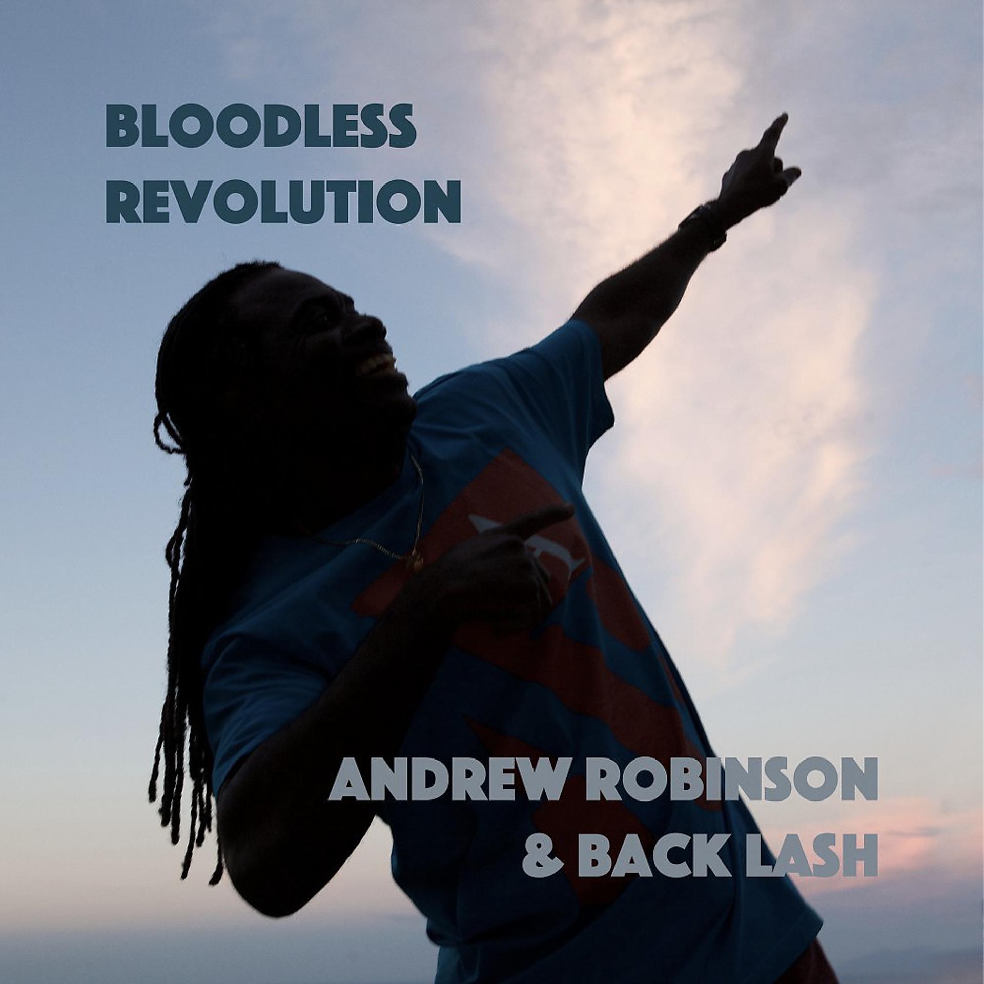 Постер альбома Bloodless Revolution