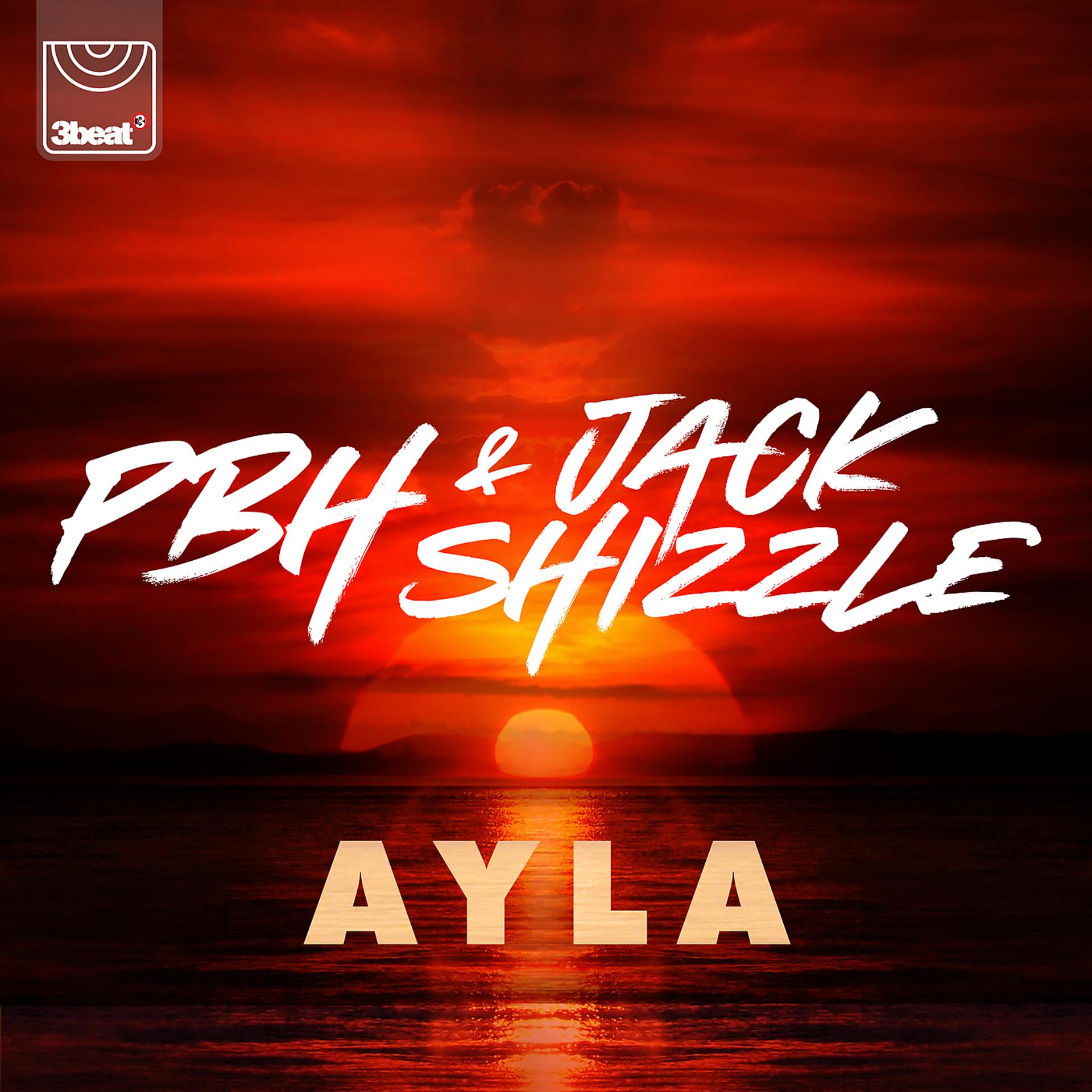Постер альбома Ayla