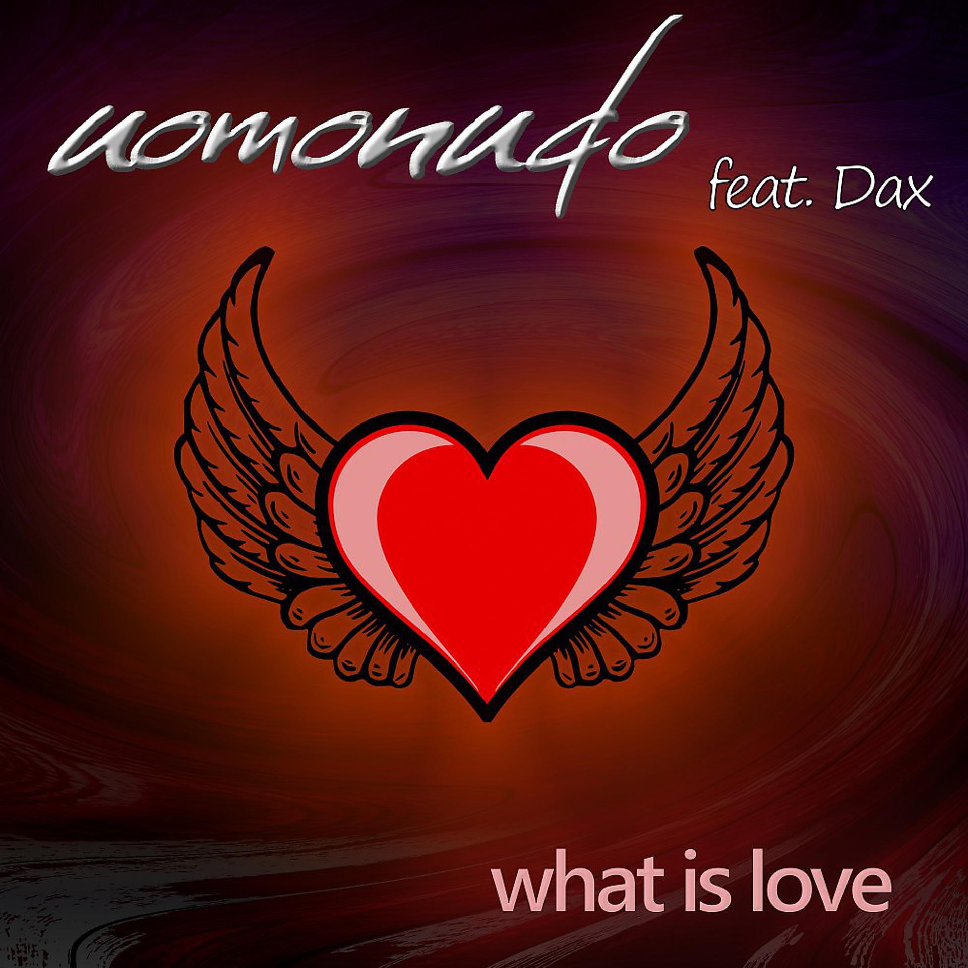 Постер альбома What Is Love (Ludodream Main Mix)