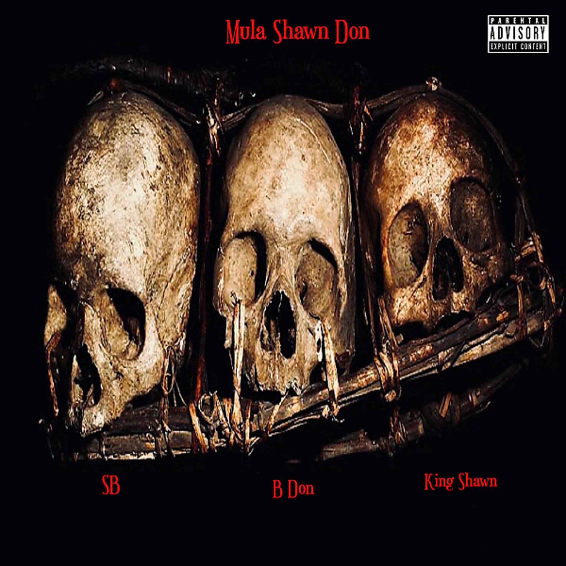 Постер альбома Mula Shawn Don - EP