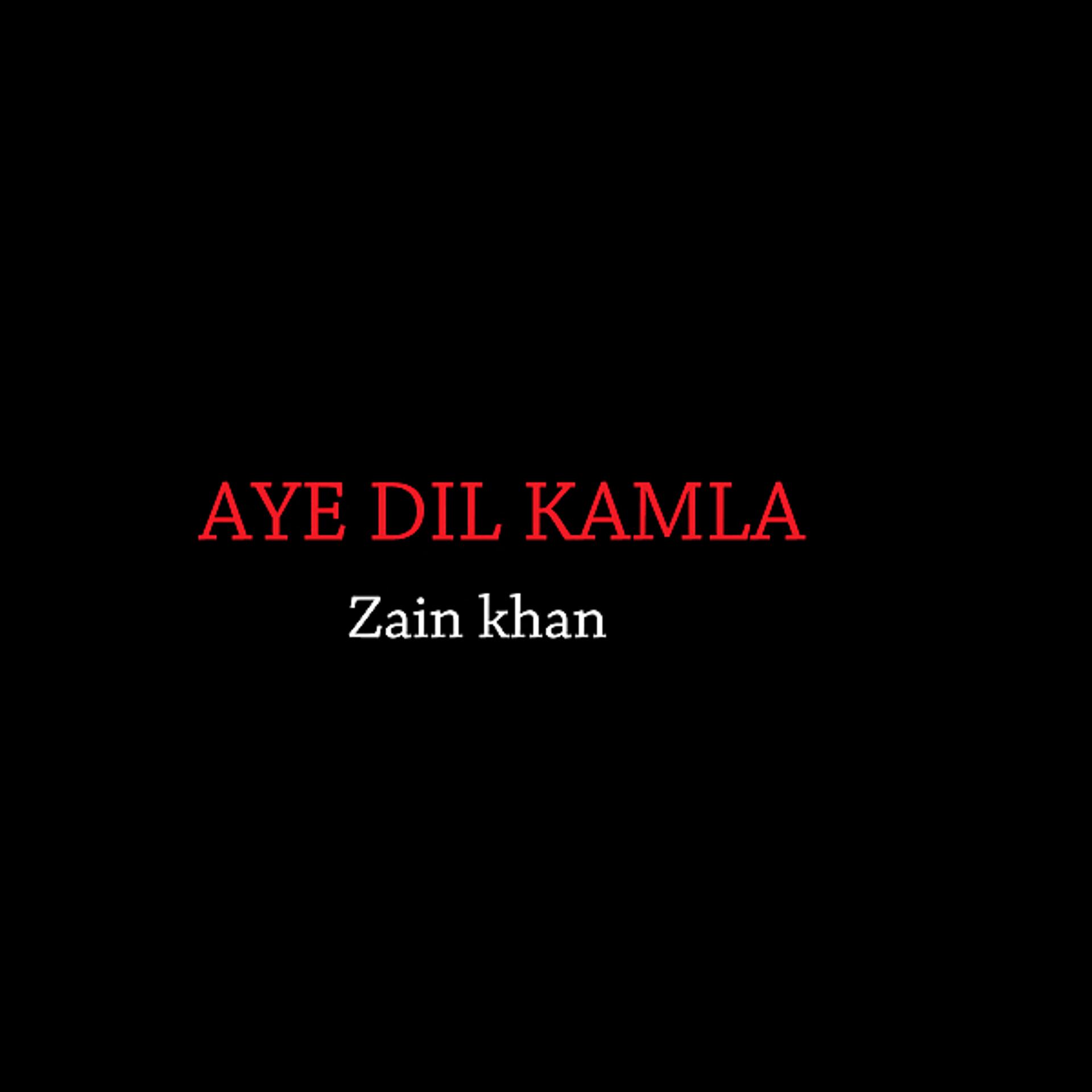 Постер альбома Aye Dil Kamla