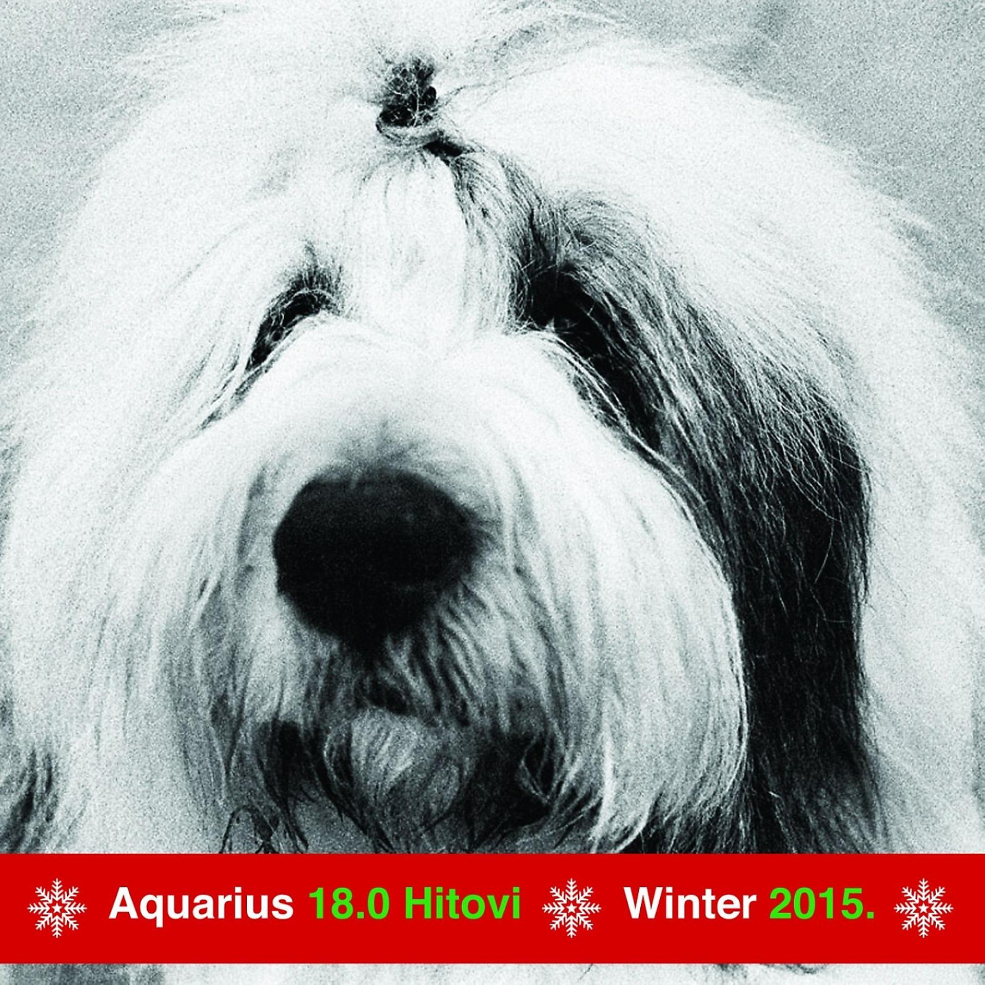 Постер альбома Aquarius 18.0 Hitovi - Winter 2015