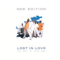 Постер альбома Lost In Love: The Best Of Slow Jams