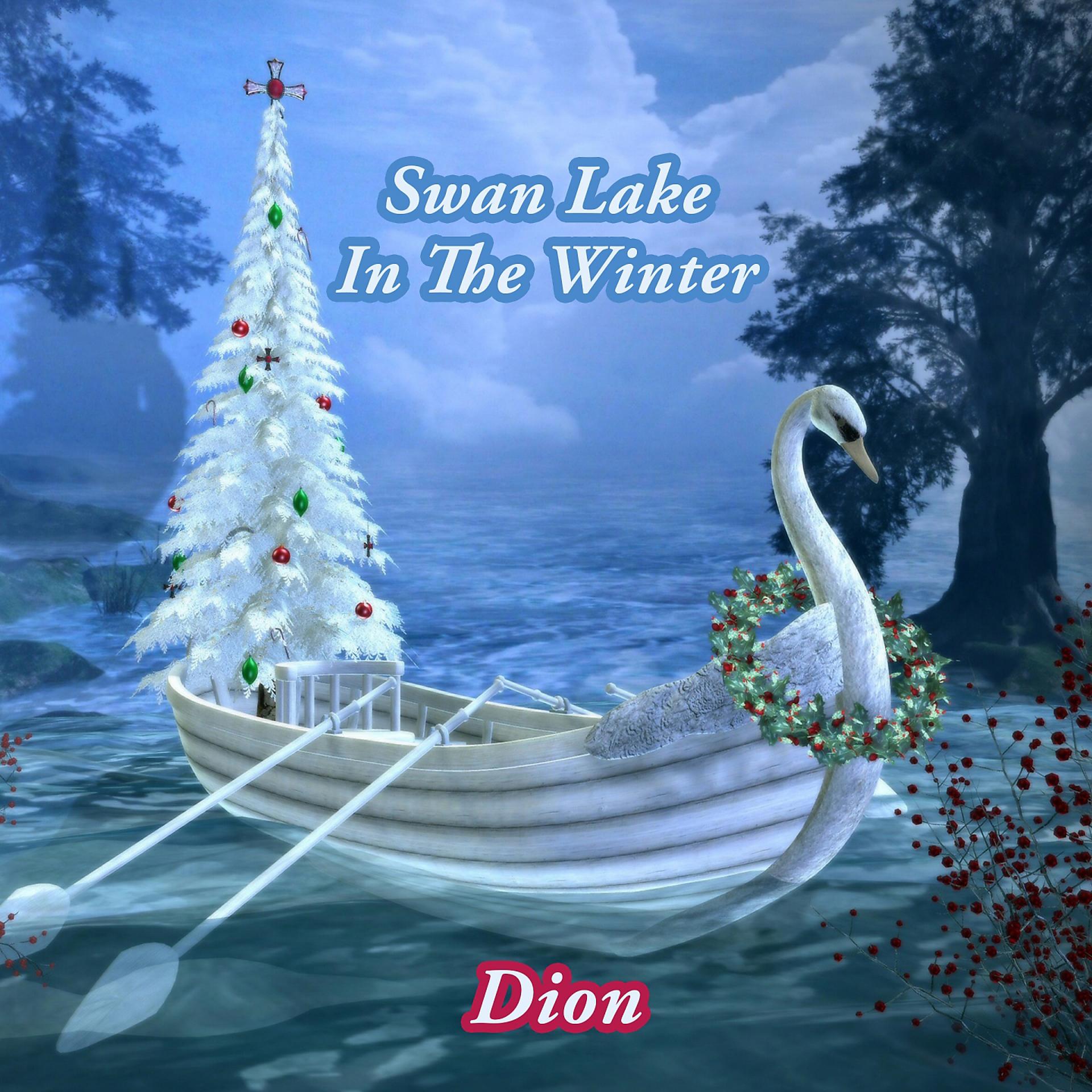 Постер альбома Swan Lake In The Winter