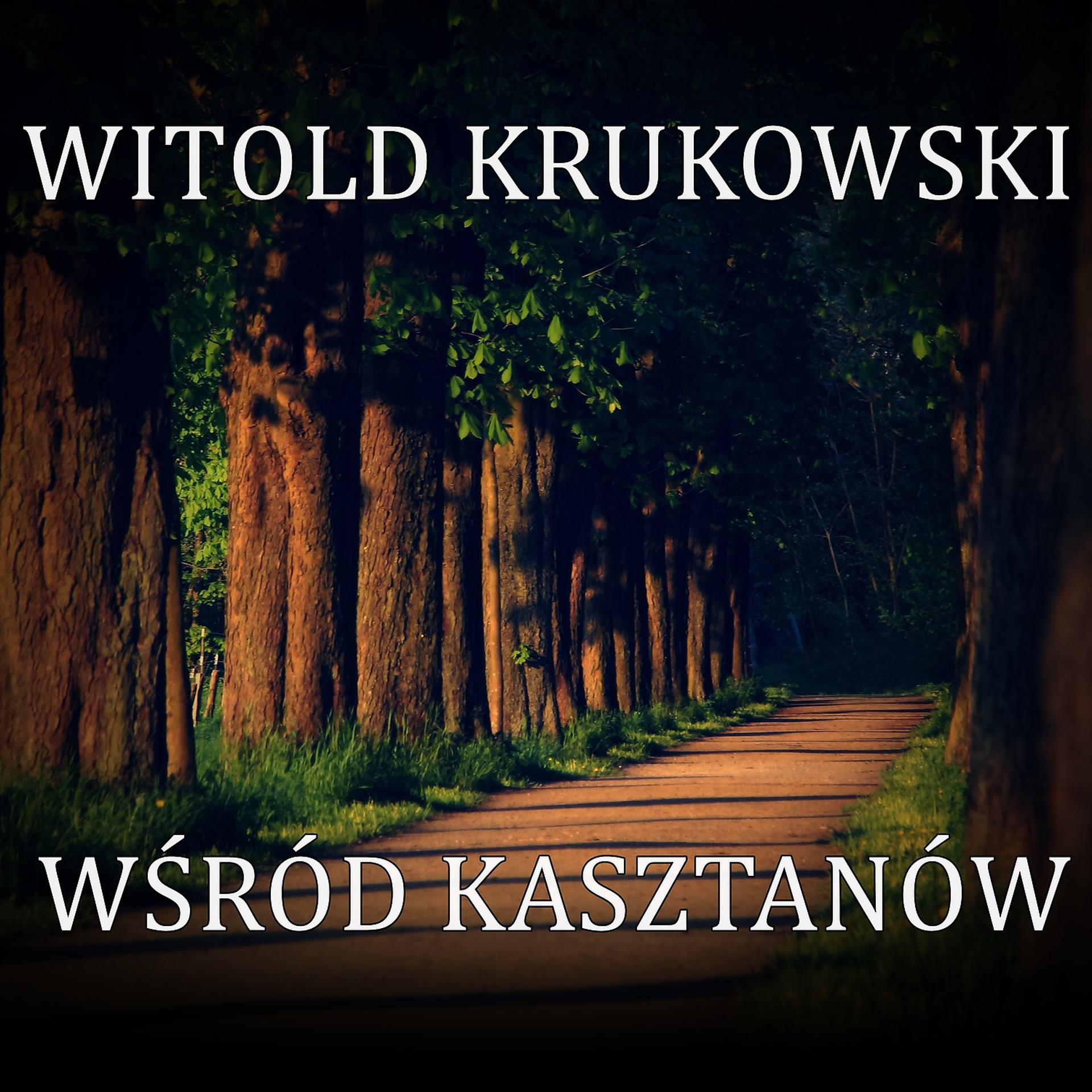 Постер альбома Wsrod Kasztanow