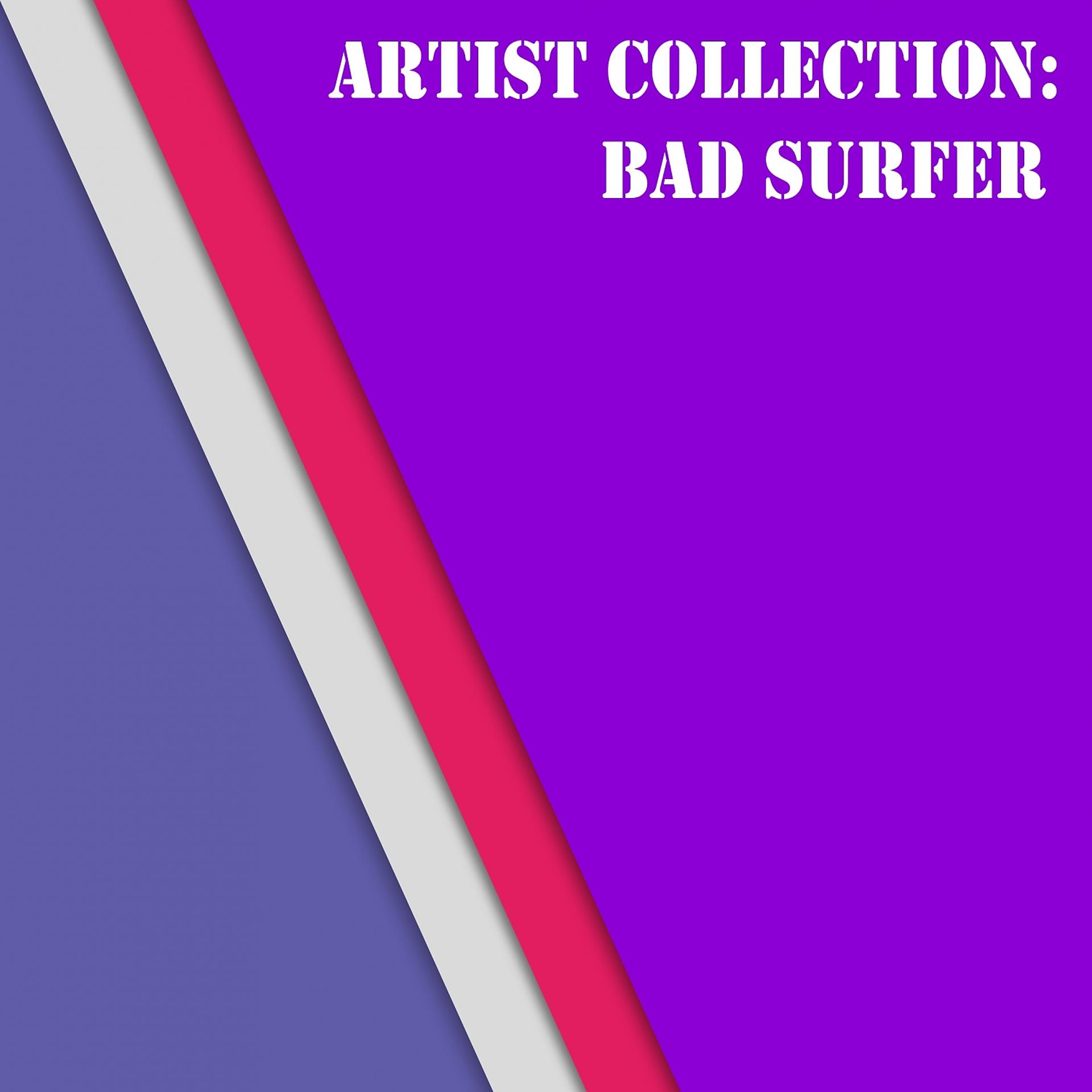 Постер альбома Artist Collection: Bad Surfer