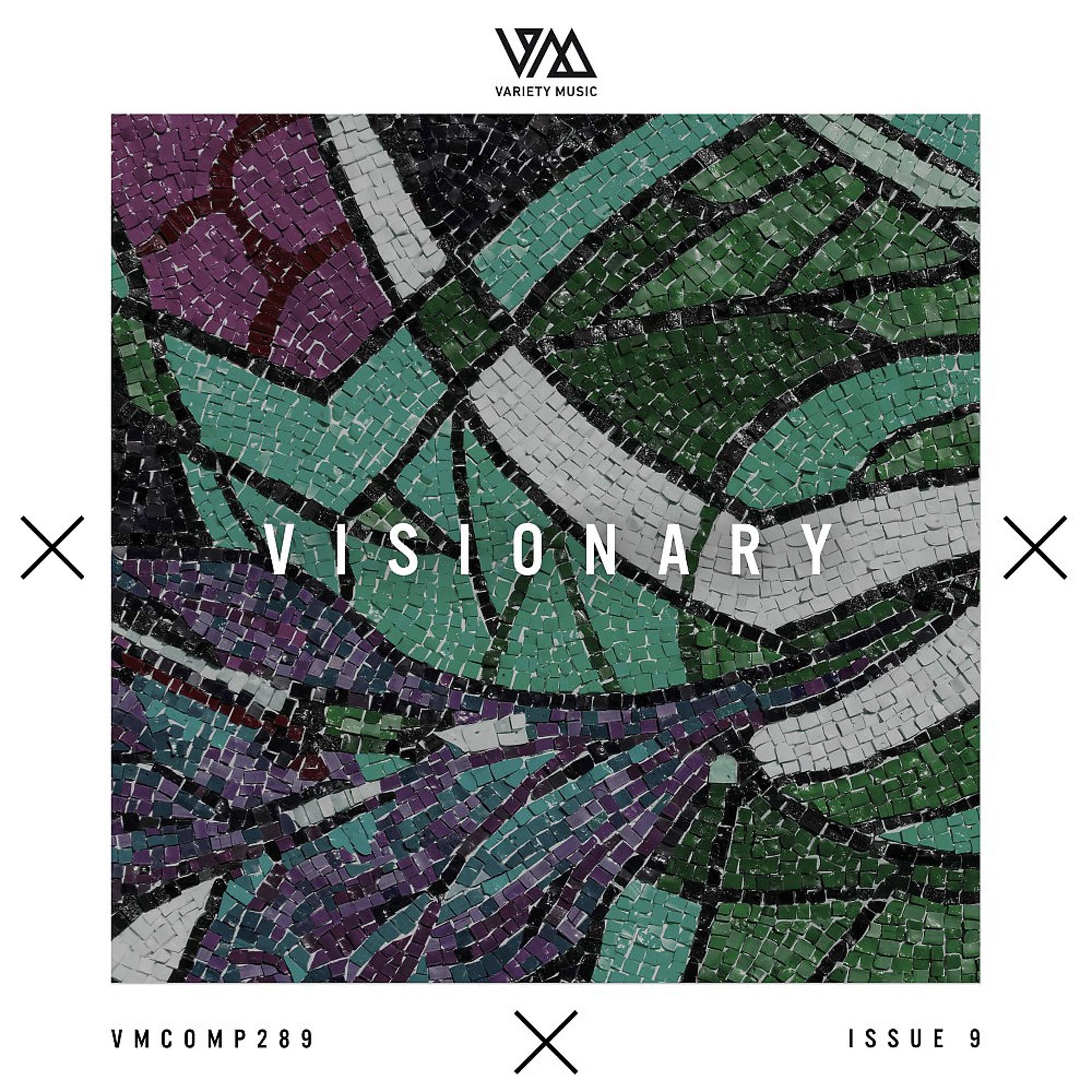 Постер альбома Variety Music Pres. Visionary Issue 9