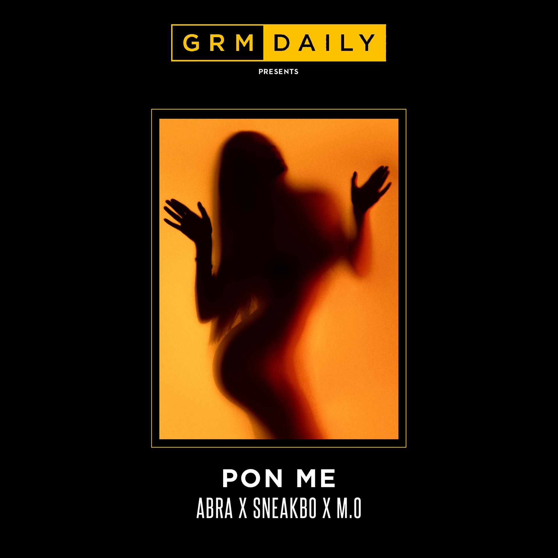 Постер альбома Pon Me (feat. Abra Cadabra, Sneakbo and M.O)