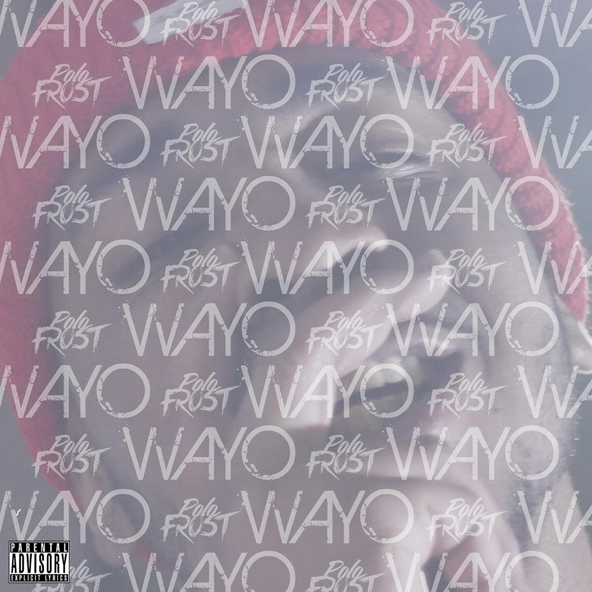 Постер альбома Polo Frost - Wayo