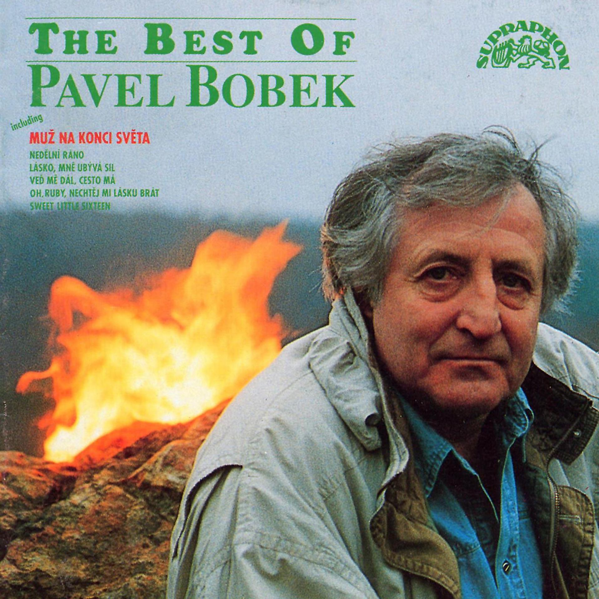 Постер альбома The Best Of Pavel Bobek