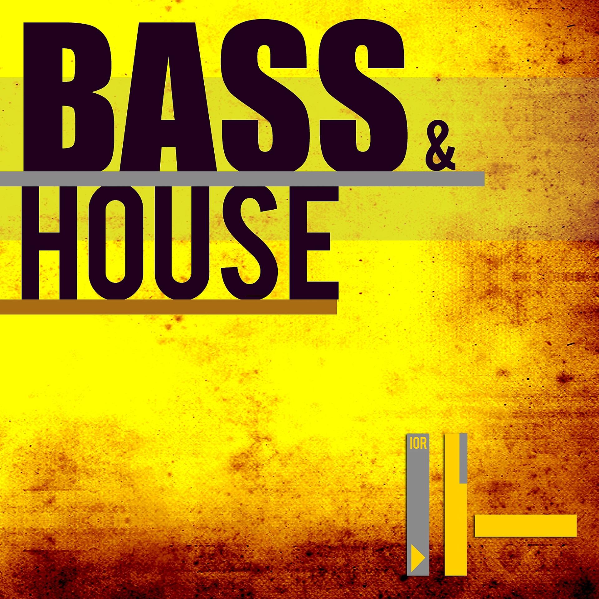 Постер альбома Bass & House