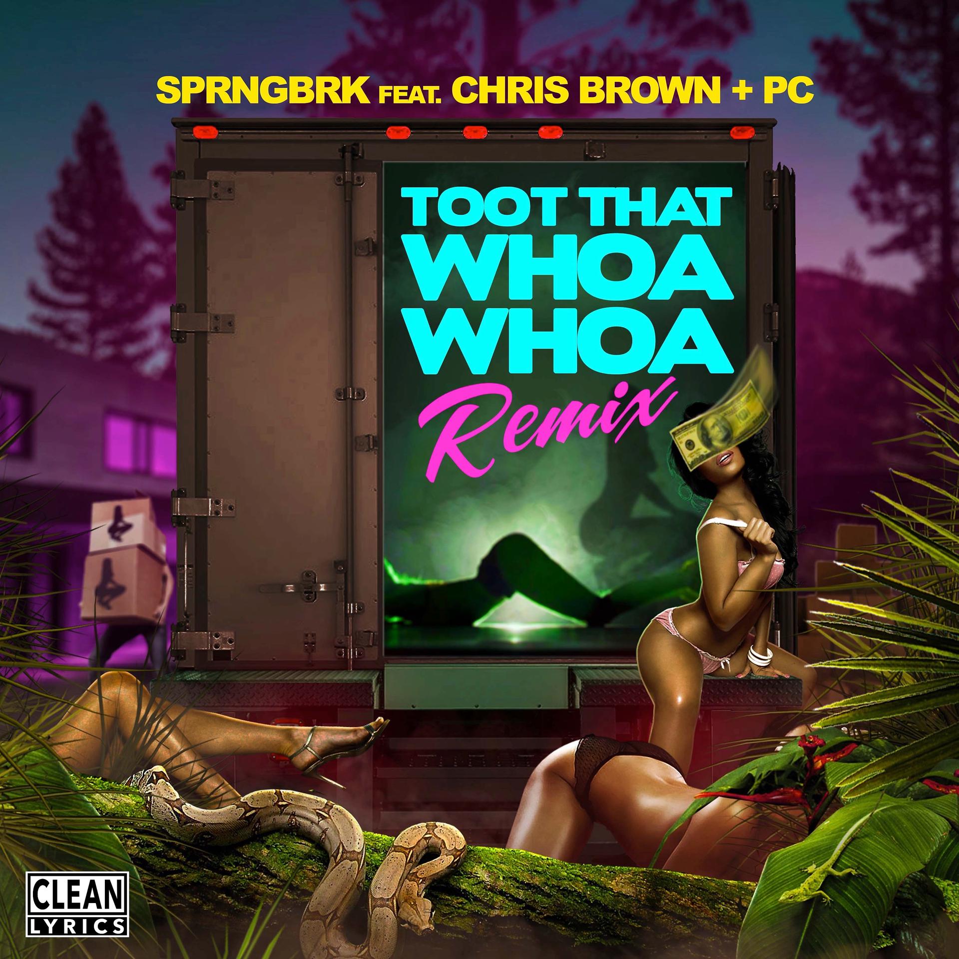 Постер альбома Toot That Whoa Whoa (feat. Chris Brown & PC)