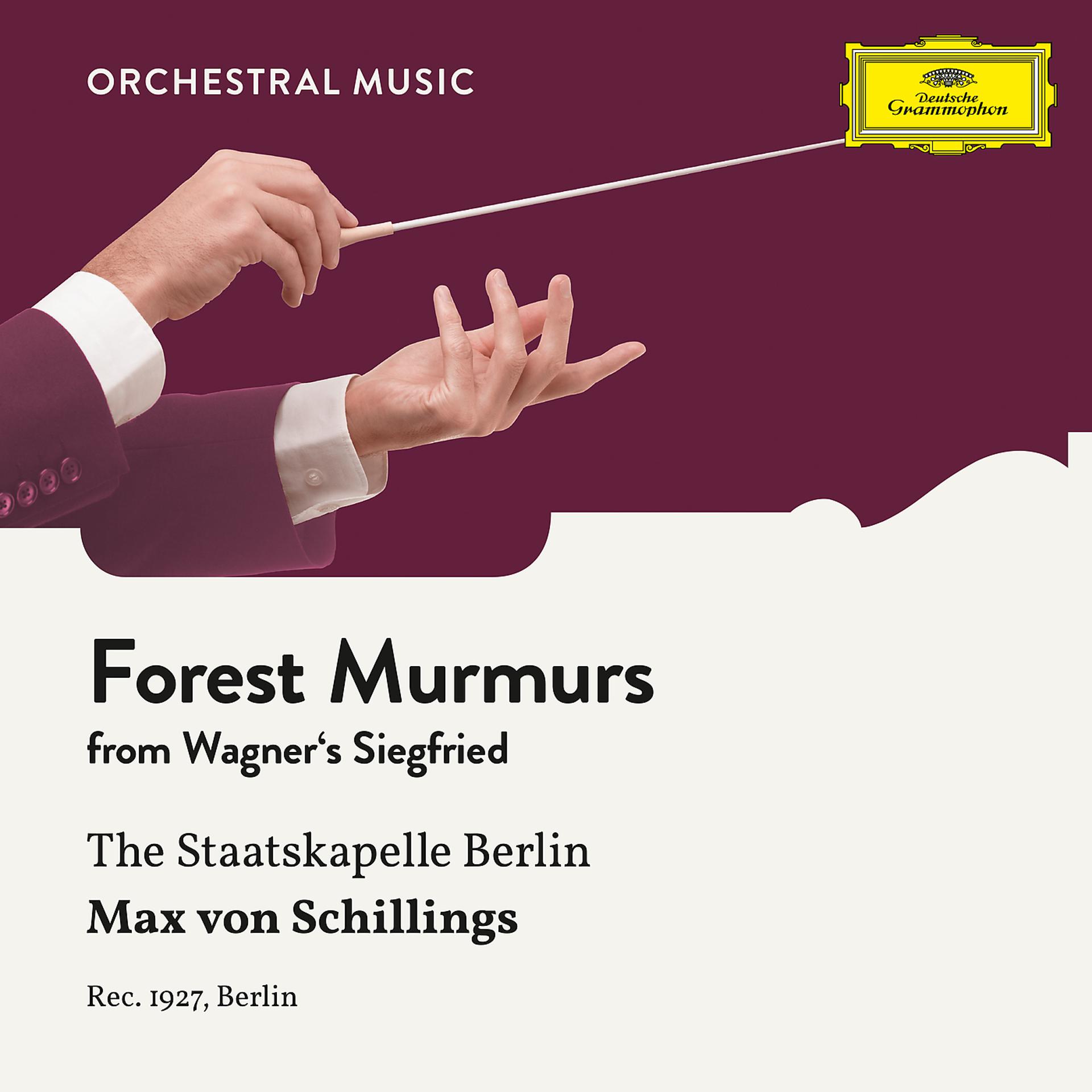 Постер альбома Wagner: Siegfried: Forest Murmurs