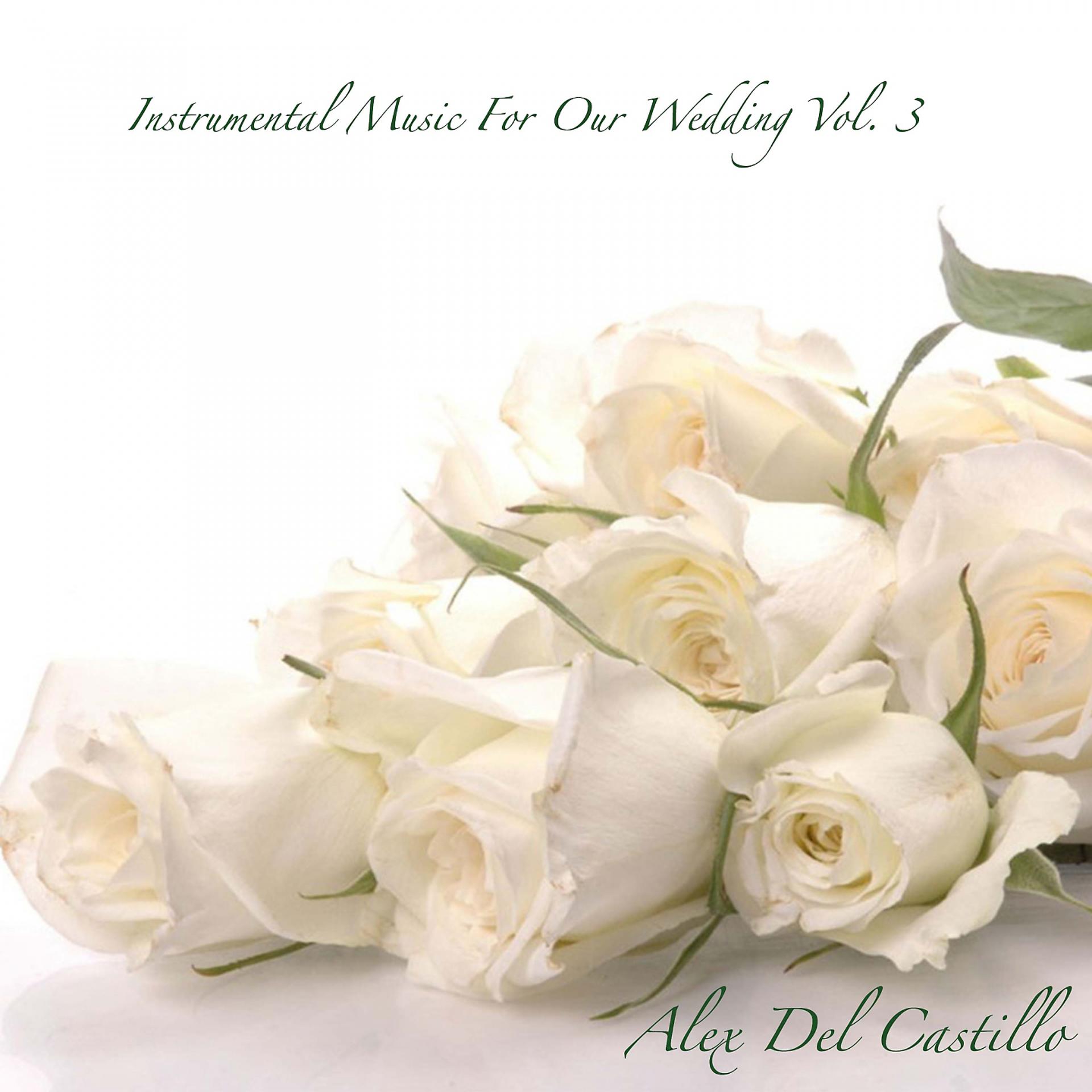 Постер альбома Instrumental Music for Our Wedding, Vol. 3