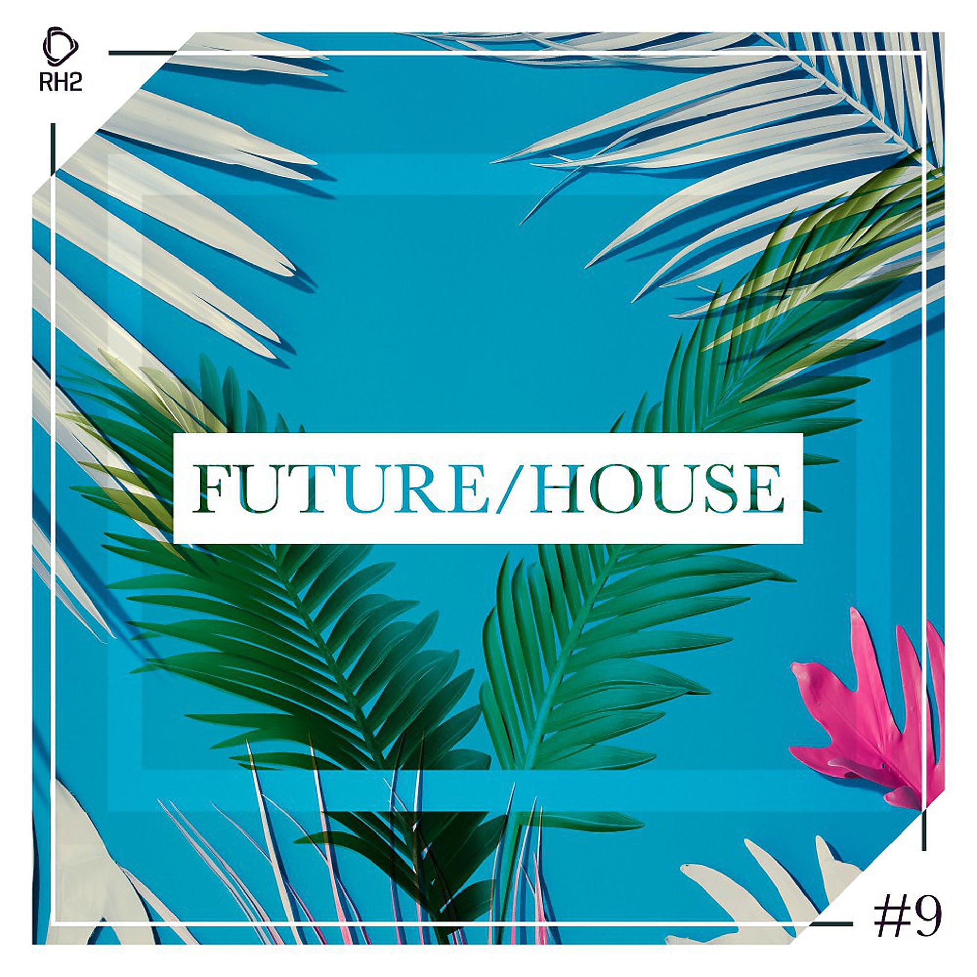 Постер альбома Future/House #9