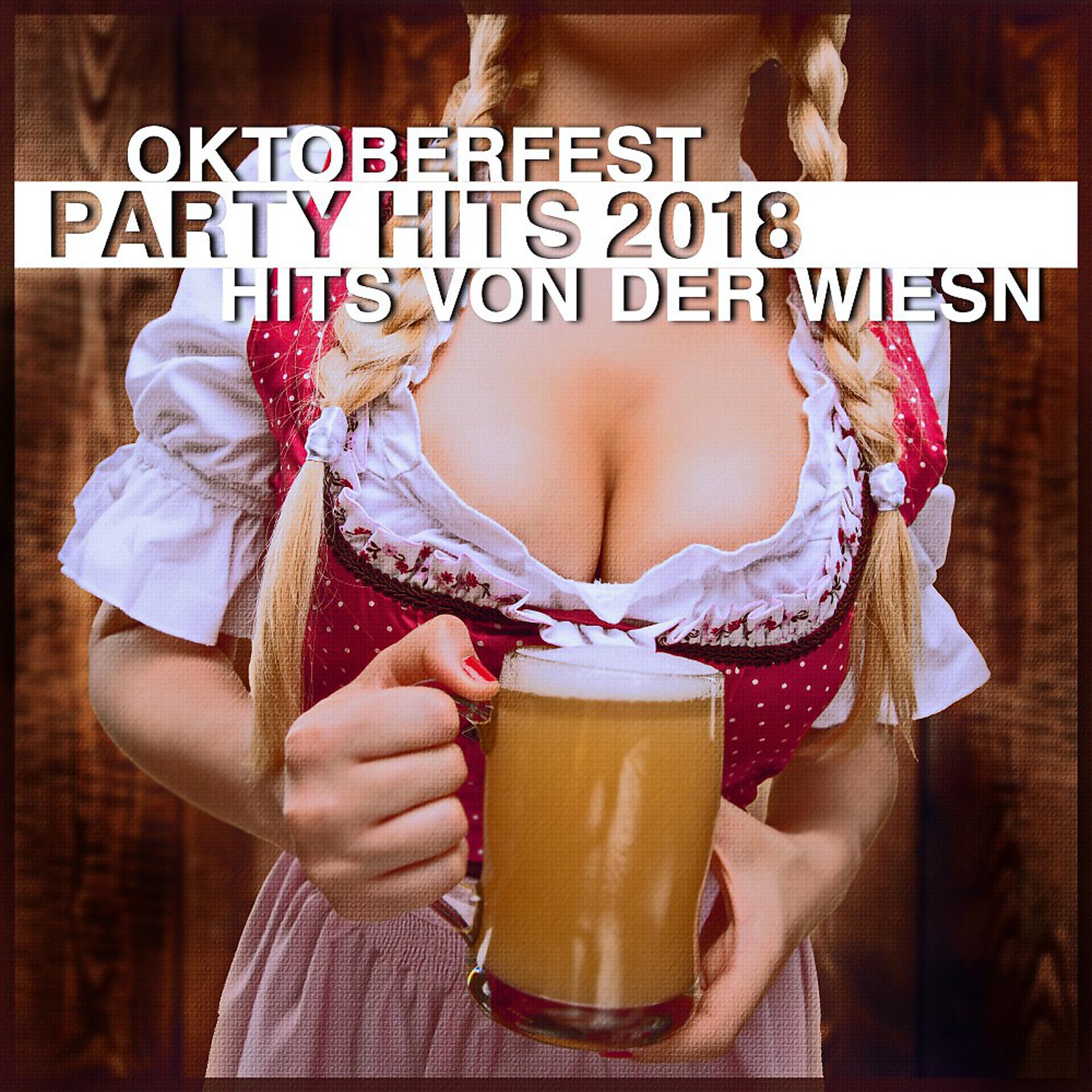 Постер альбома Oktoberfest Party Hits 2018 (Hits von der Wiesn)