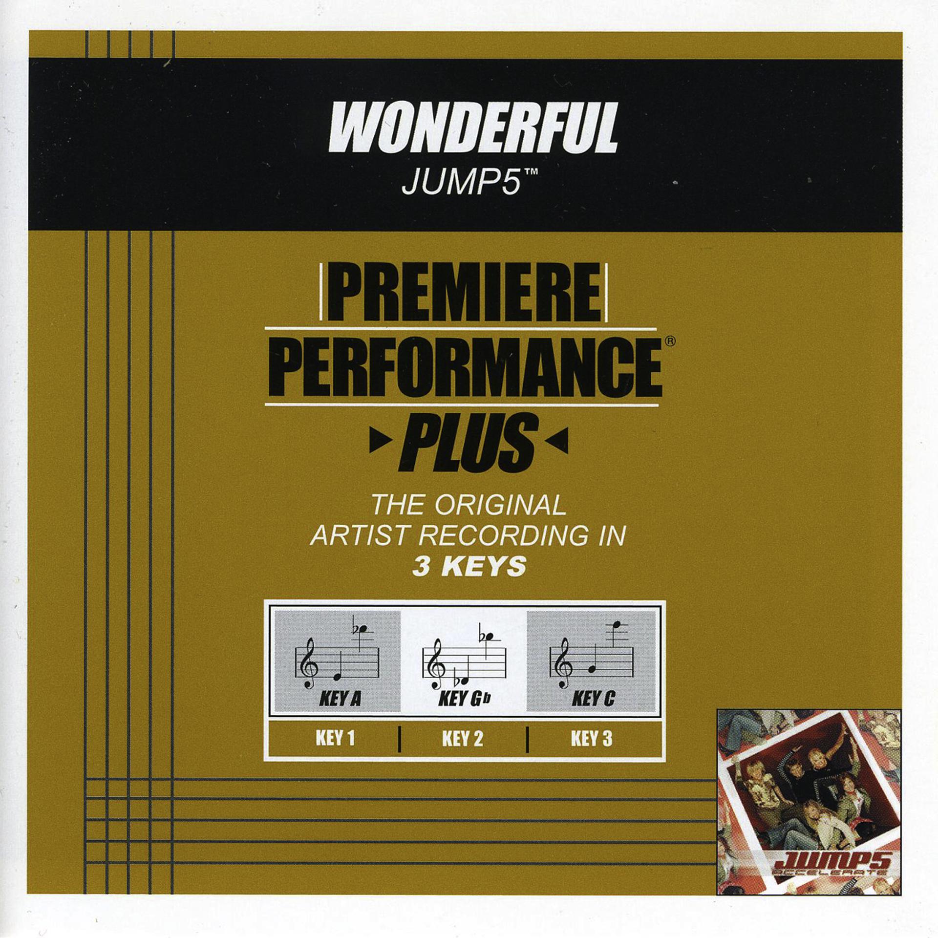 Постер альбома Premiere Performance Plus: Wonderful