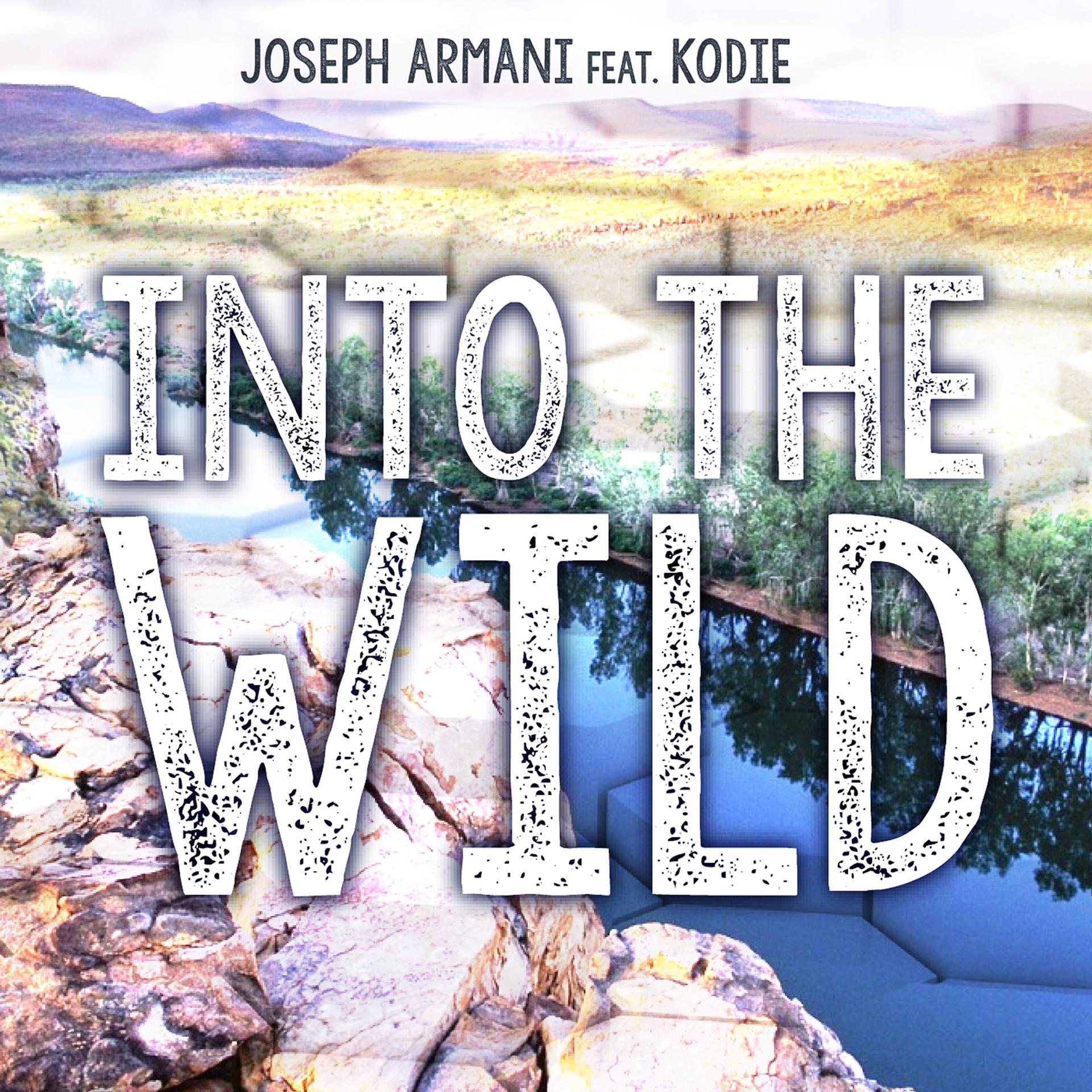 Постер альбома Into the Wild