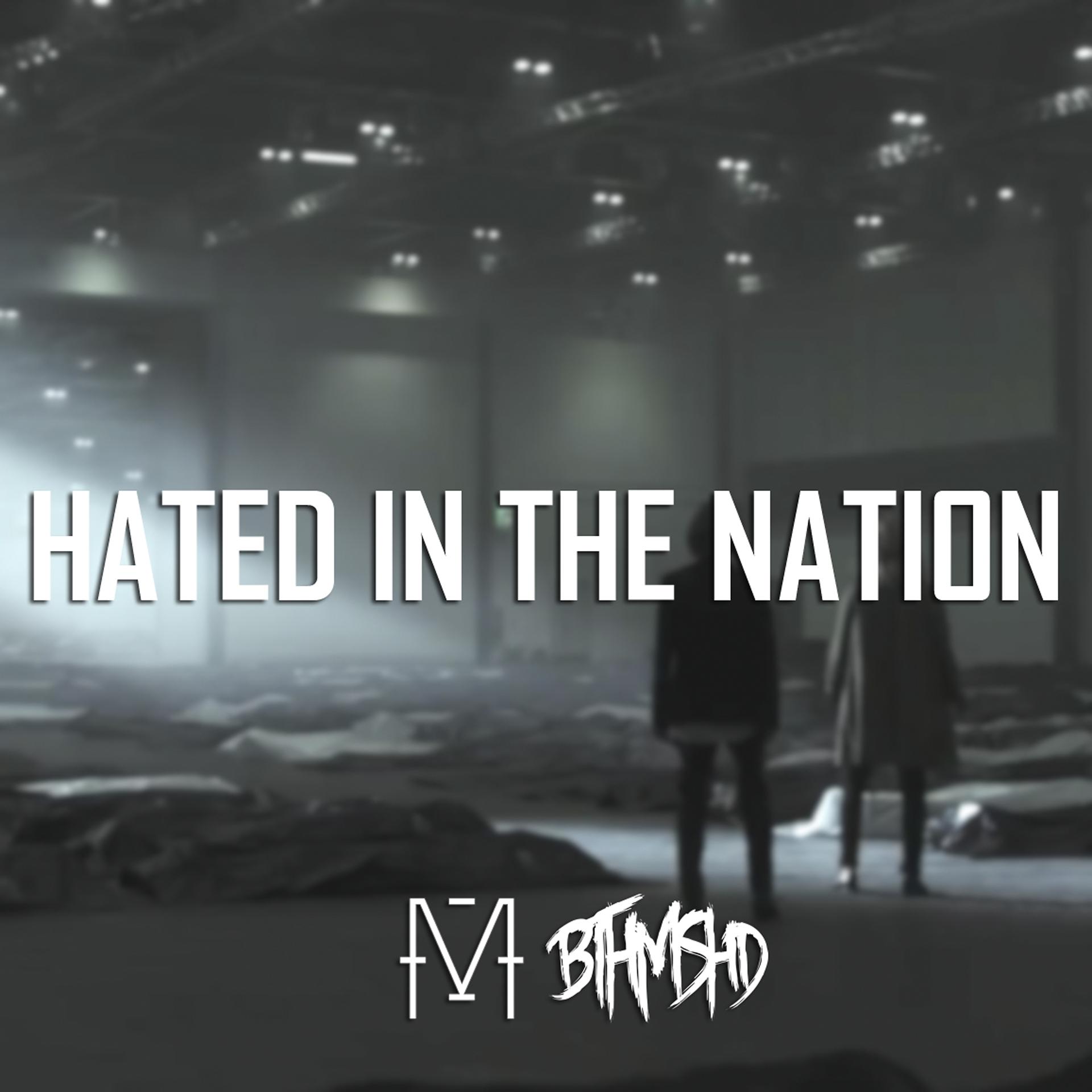 Постер альбома Hated in the Nation