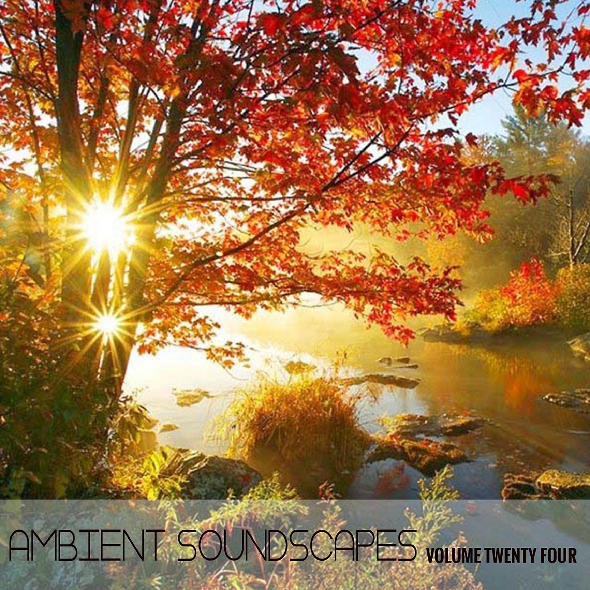Постер альбома Ambient SoundScapes Vol 24