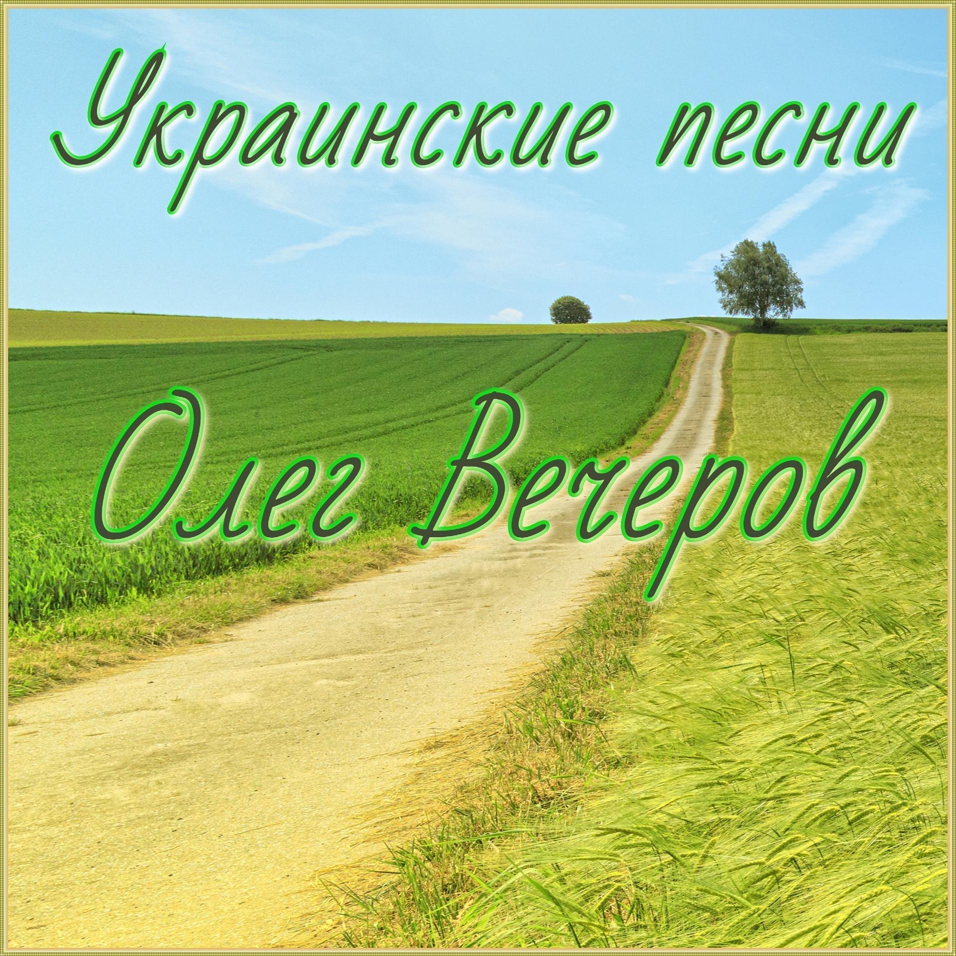 Постер альбома Украинские песни