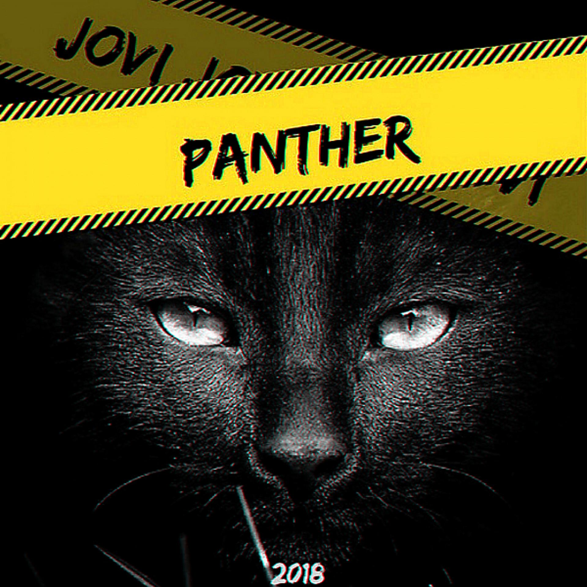 Постер альбома Пантера