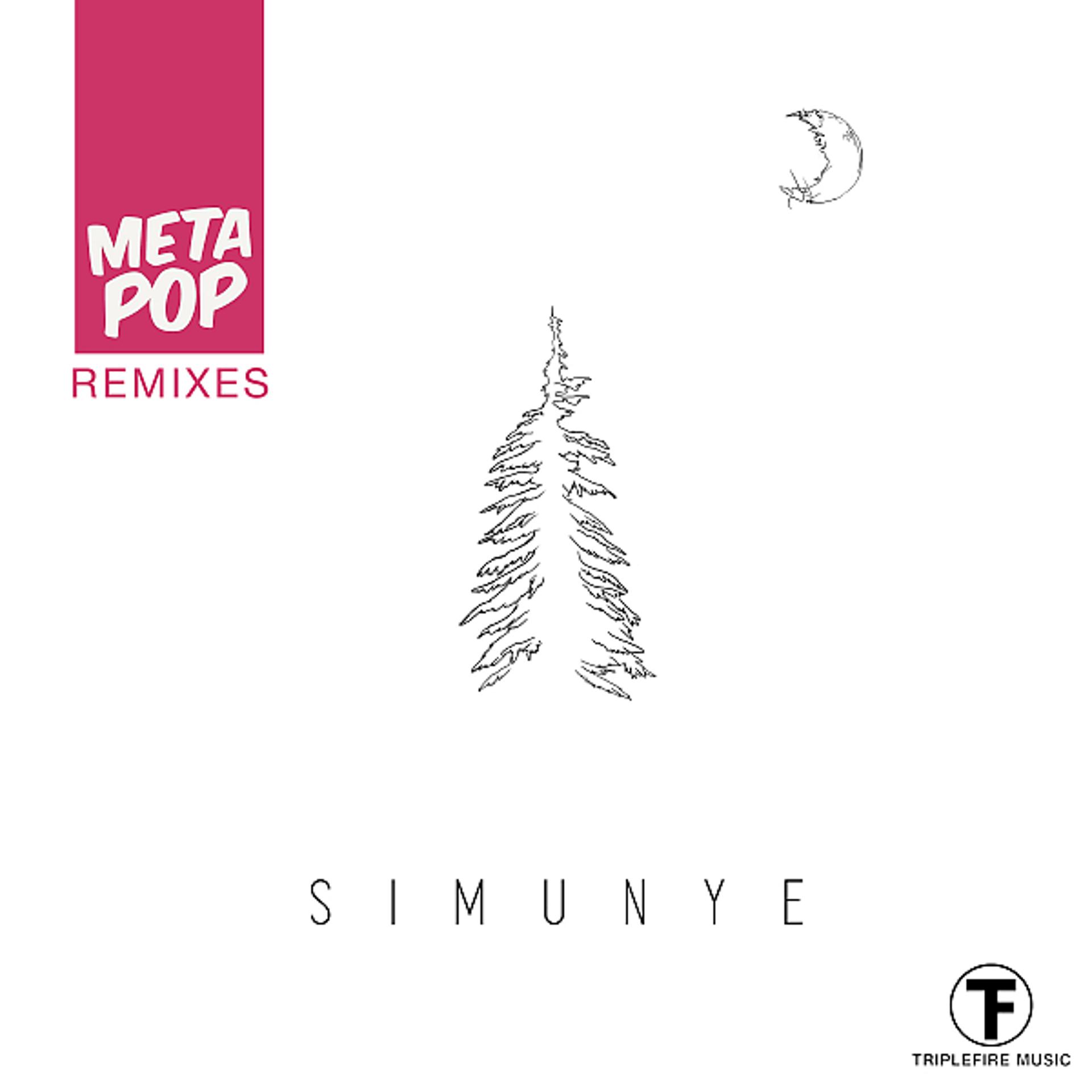 Постер альбома Simunye: MetaPop Remixes (Boiskin Remix)