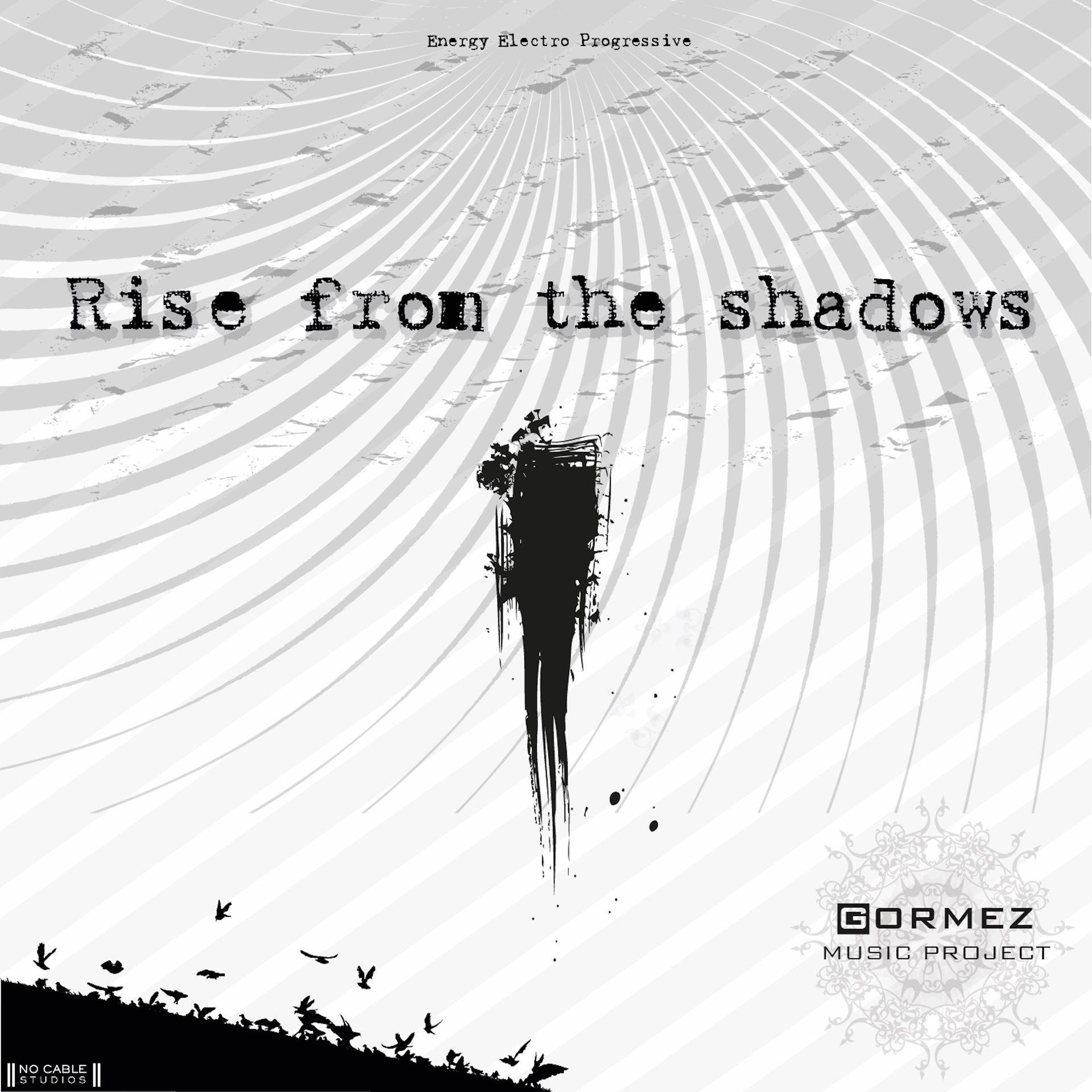 Постер альбома Rise from the Shadows