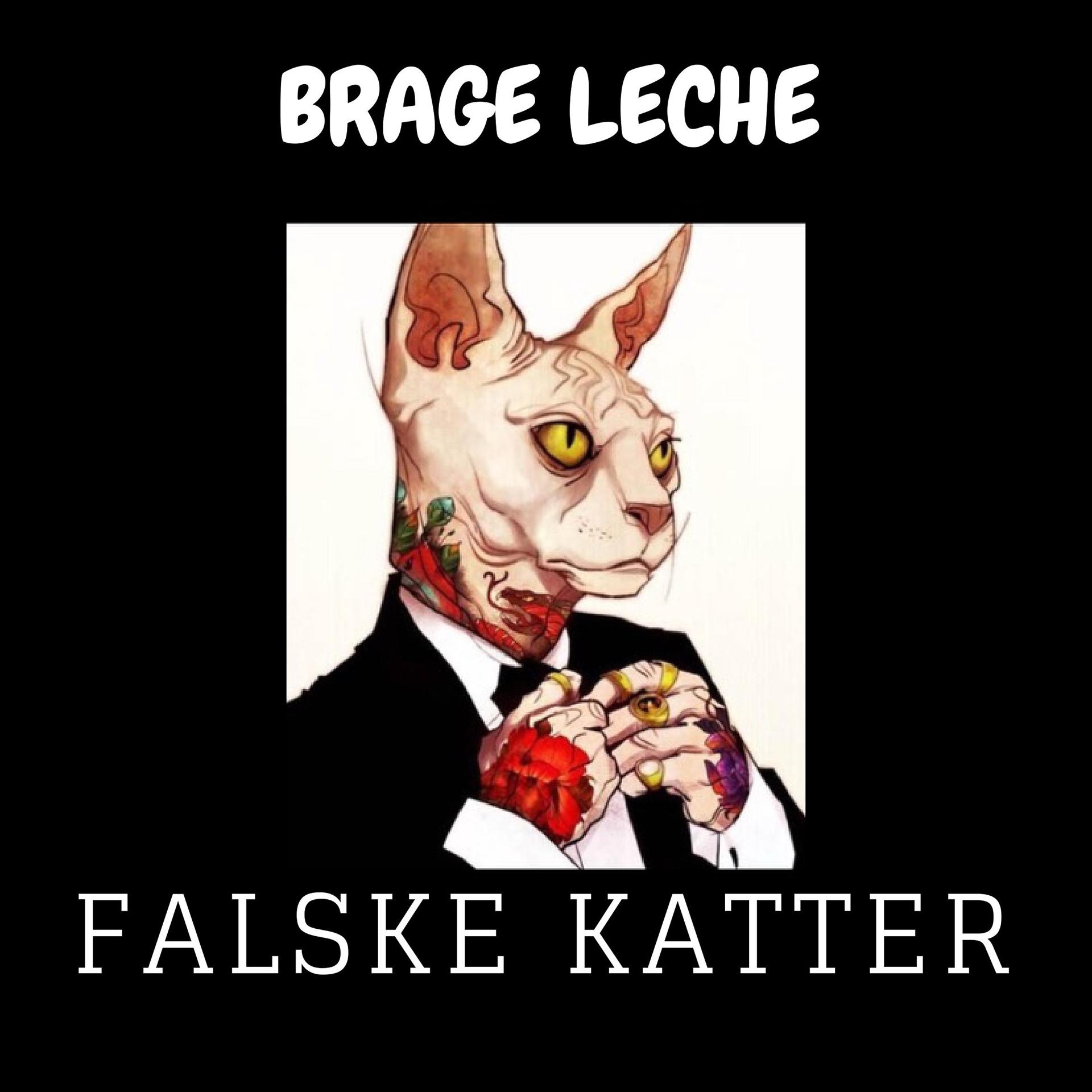 Постер альбома Falske Katter