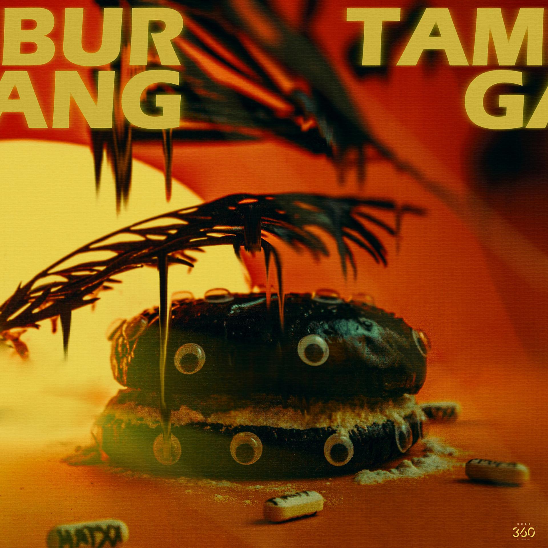 Постер альбома tambur Gang