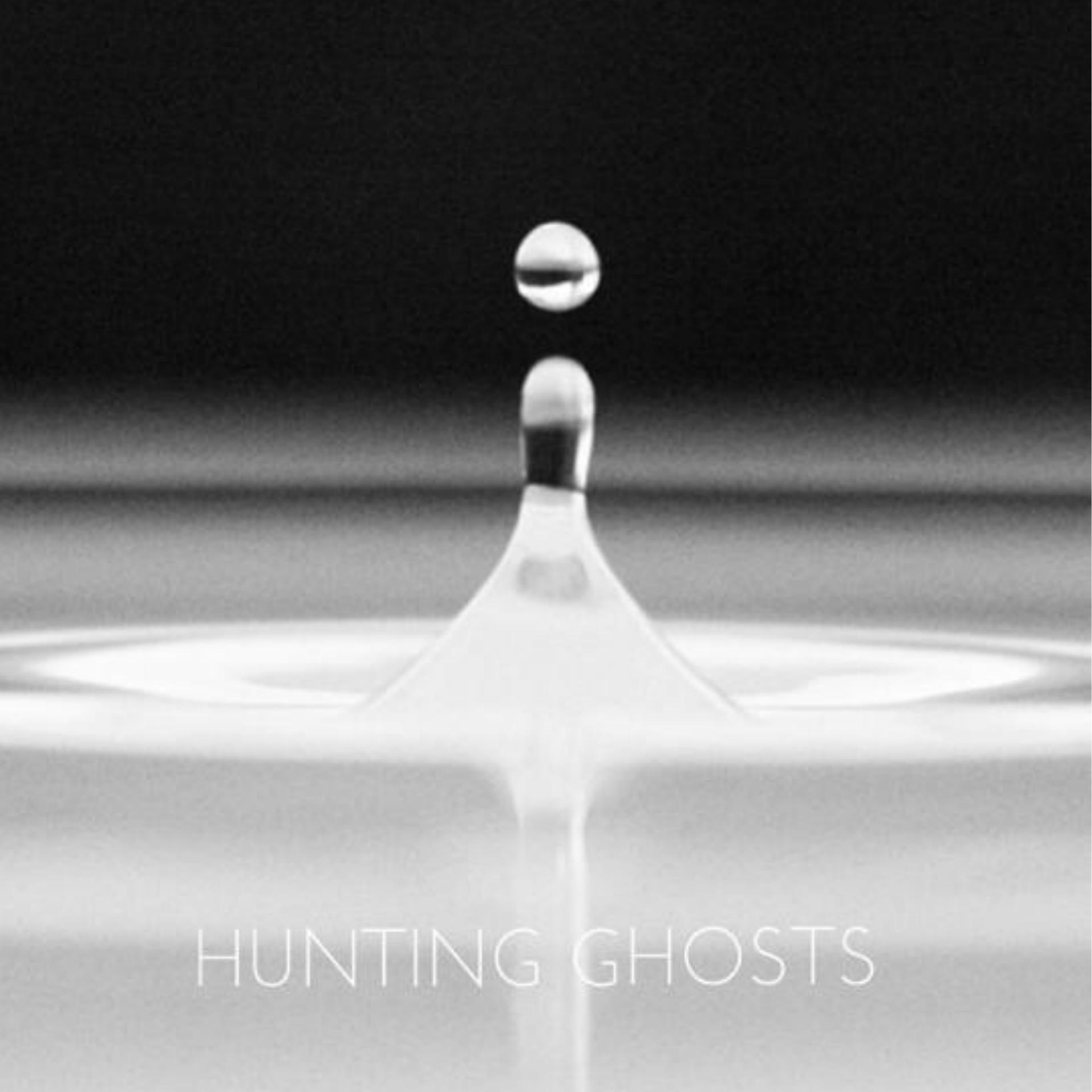 Постер альбома Hunting Ghosts