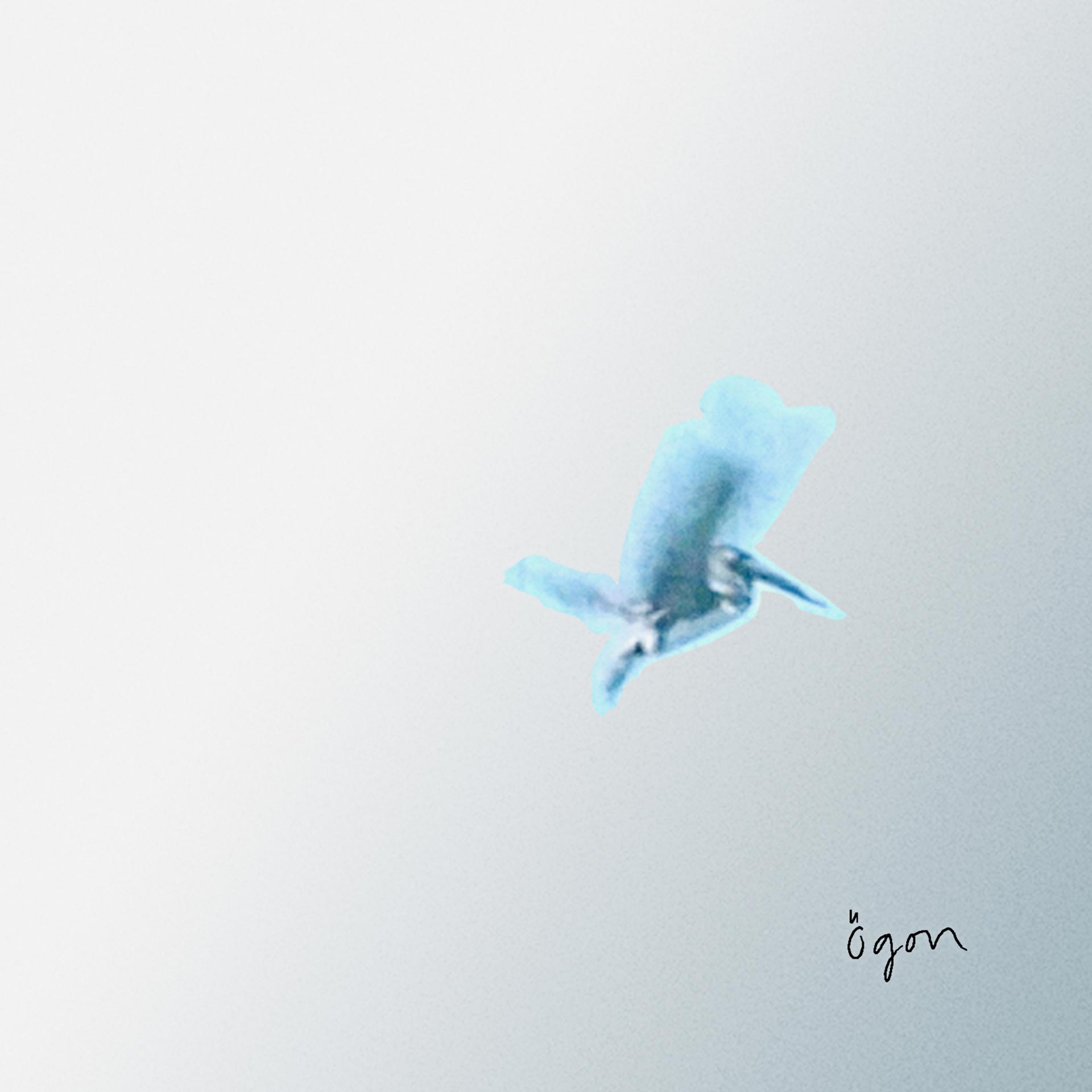 Постер альбома Ögon