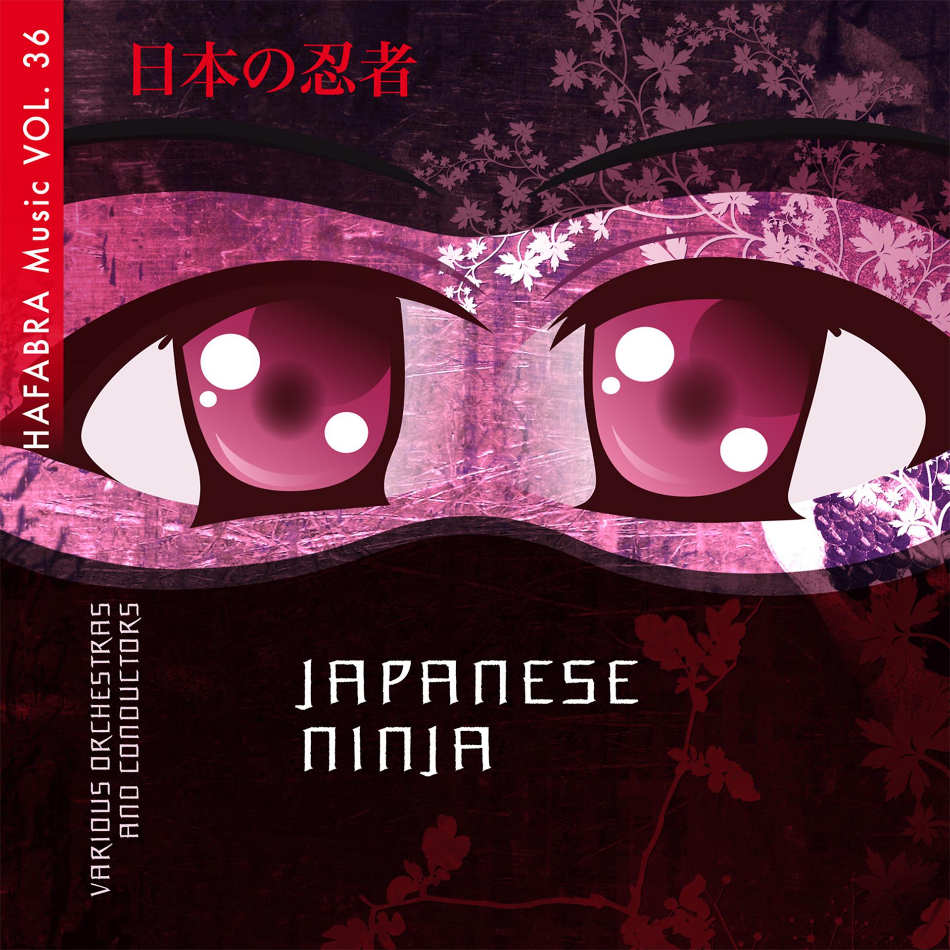 Постер альбома Japanese Ninja