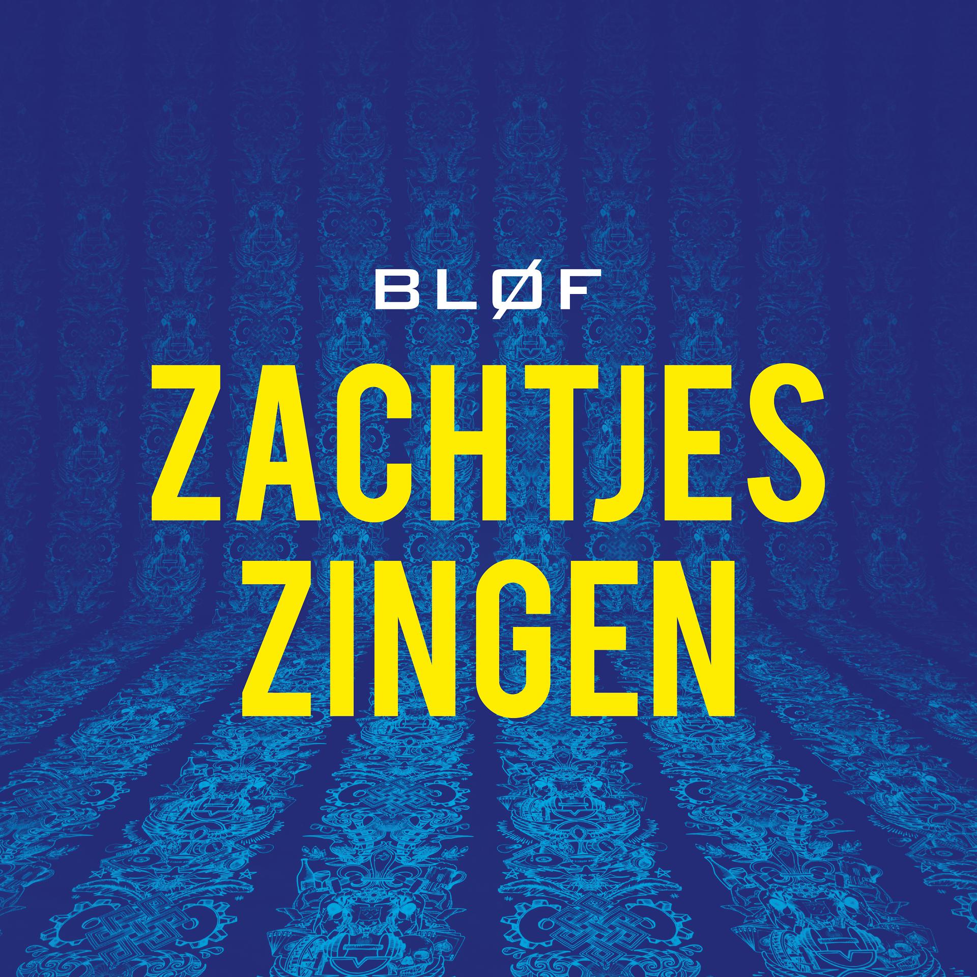 Постер альбома Zachtjes Zingen (Giraff Remix)