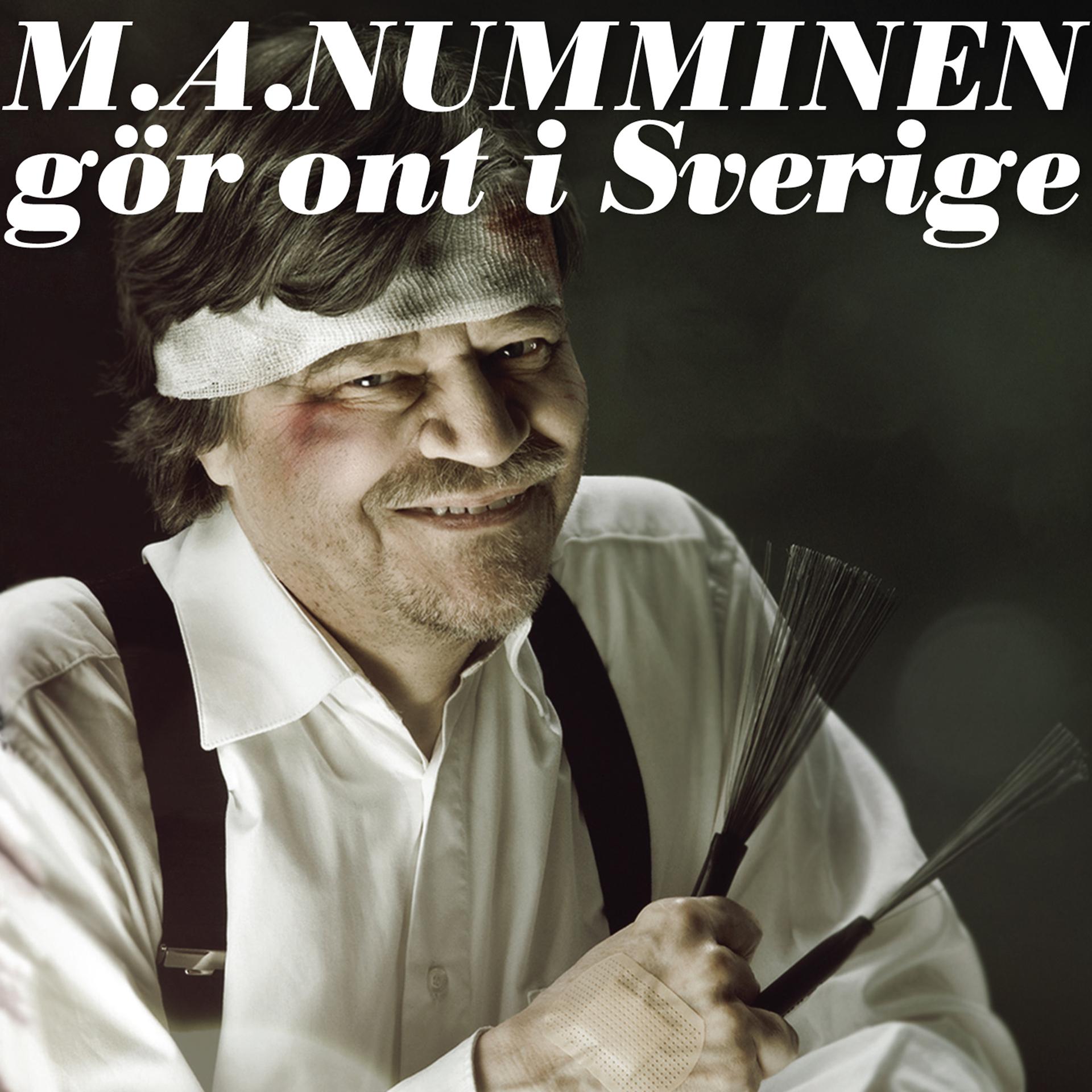 Постер альбома Gör Ont I Sverige